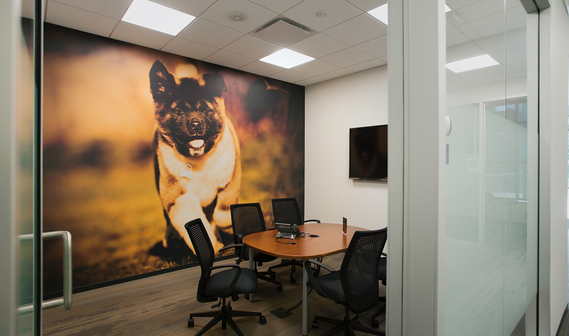 Brand Imagination James Scott Blanton Petco New Corporate