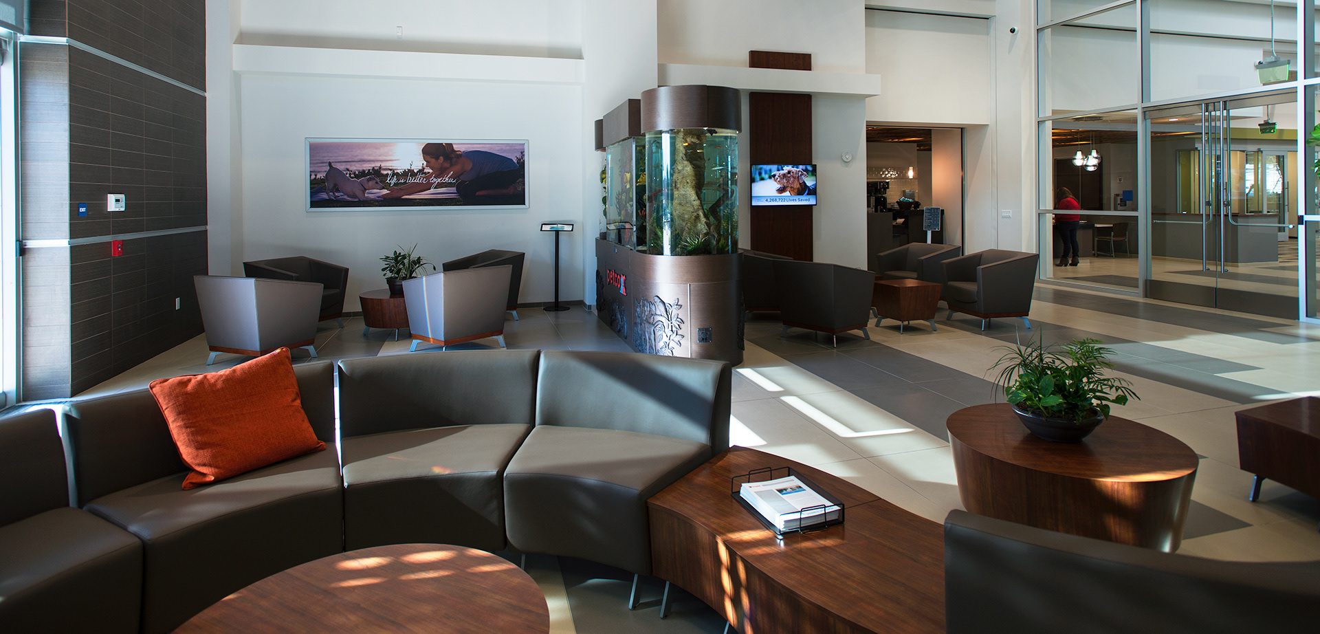 Brand Imagination James Scott Blanton Petco New Corporate Headquarters Experience