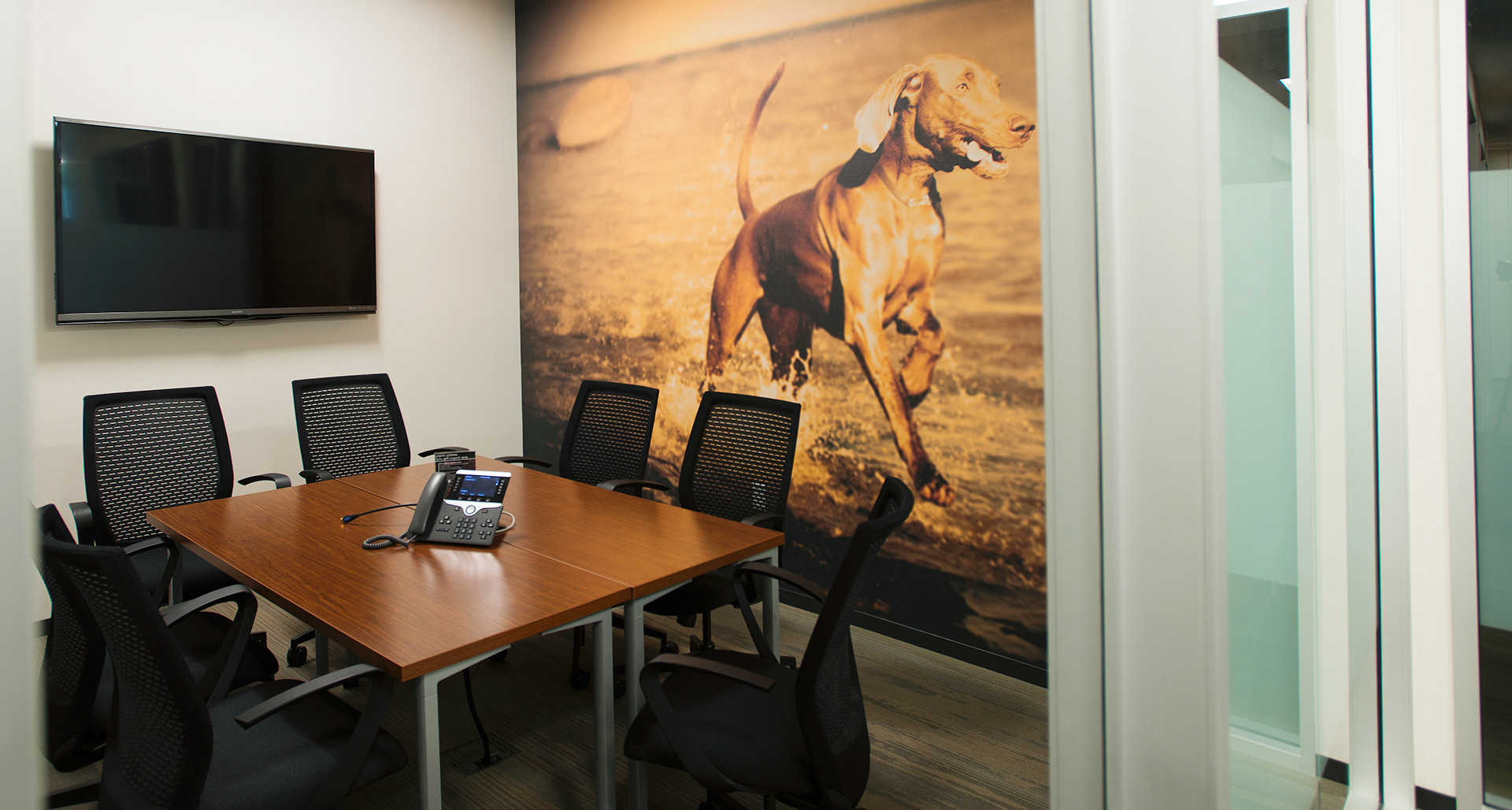 Brand Imagination James Scott Blanton Petco New Corporate