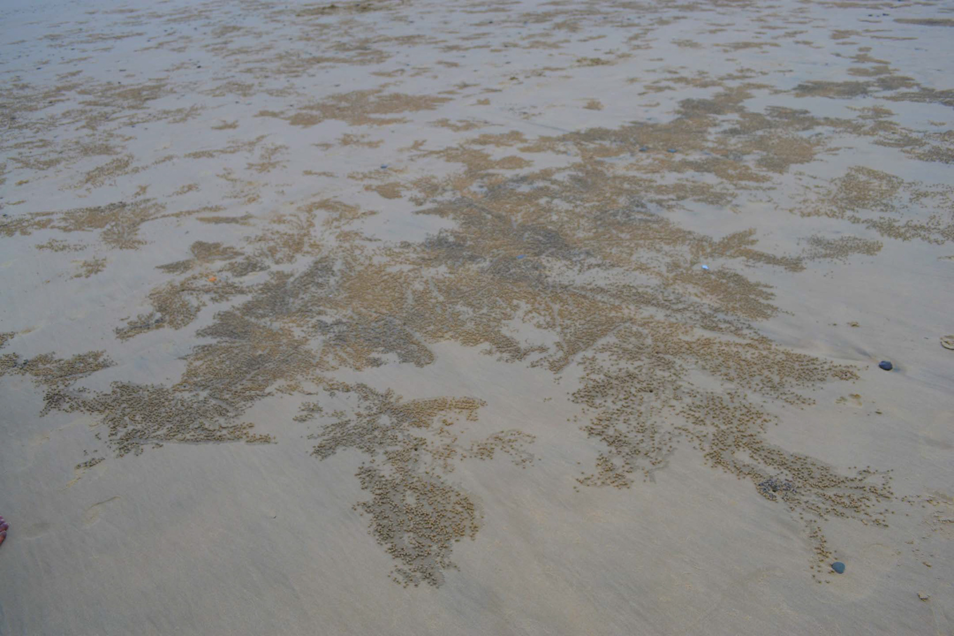 Is this just a regular sandy beach, or is there more to it than meets the eye? Scroll down to find out!