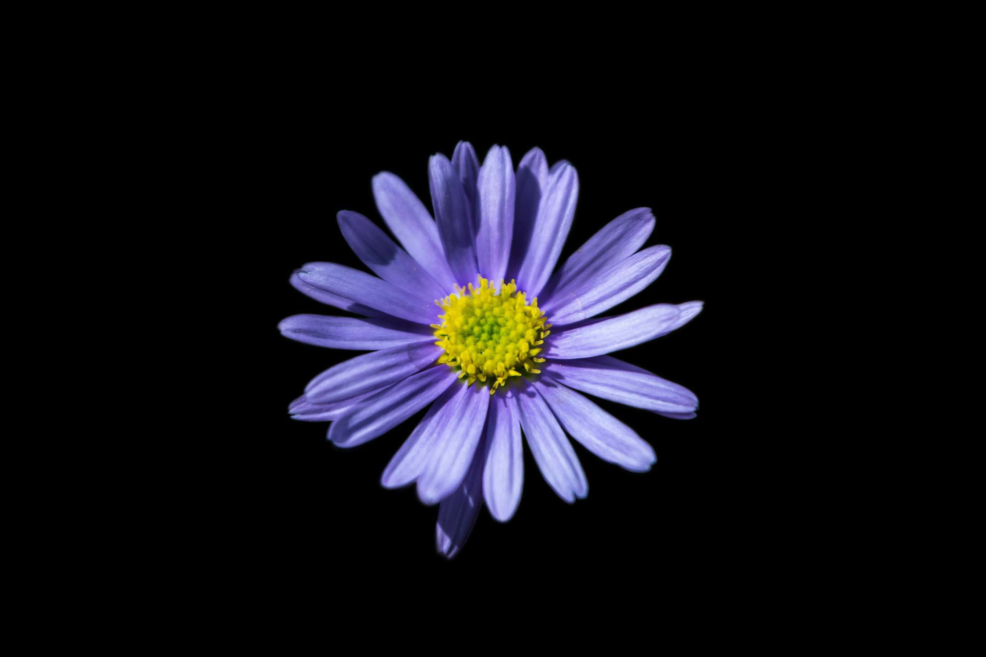 I So Did Not Copy Apple's Wallpapers... Yeah! This is completely original!