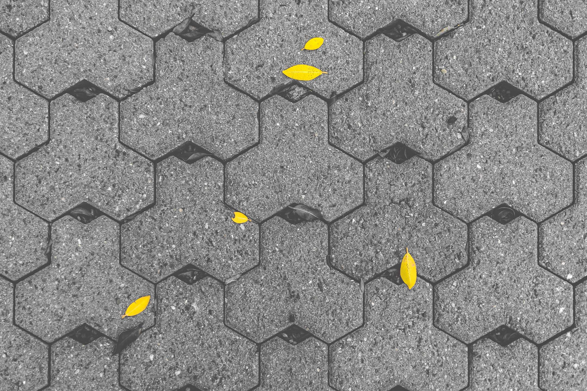 Sooo, I got yet another camera, and a new lens... 🤦‍♂️ Here's a test shot!