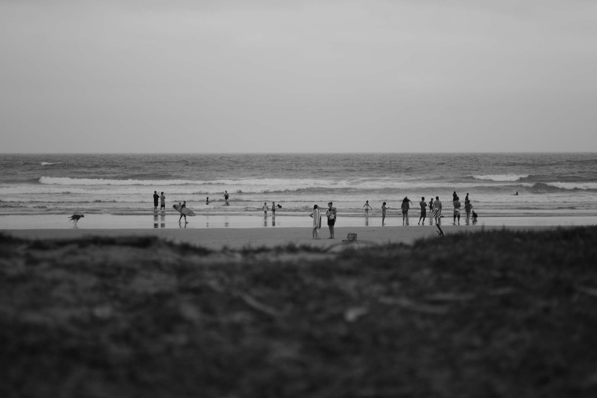 You just gotta love a good day at the beach...