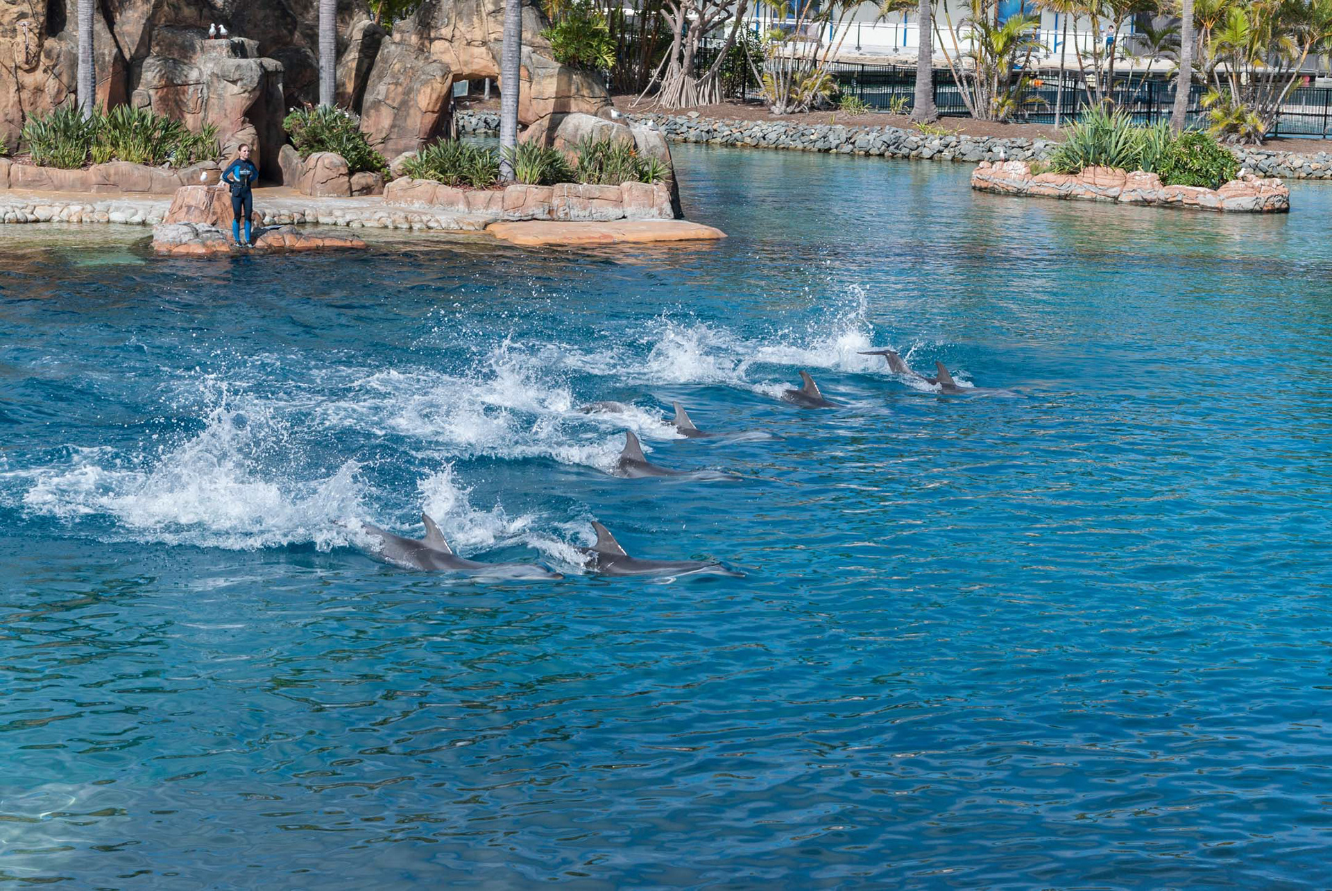 And now, as promised last week, here are a few shots I took when I visited the theme-park & resort, Sea World, in Gold Coast, Queensland, Australia.