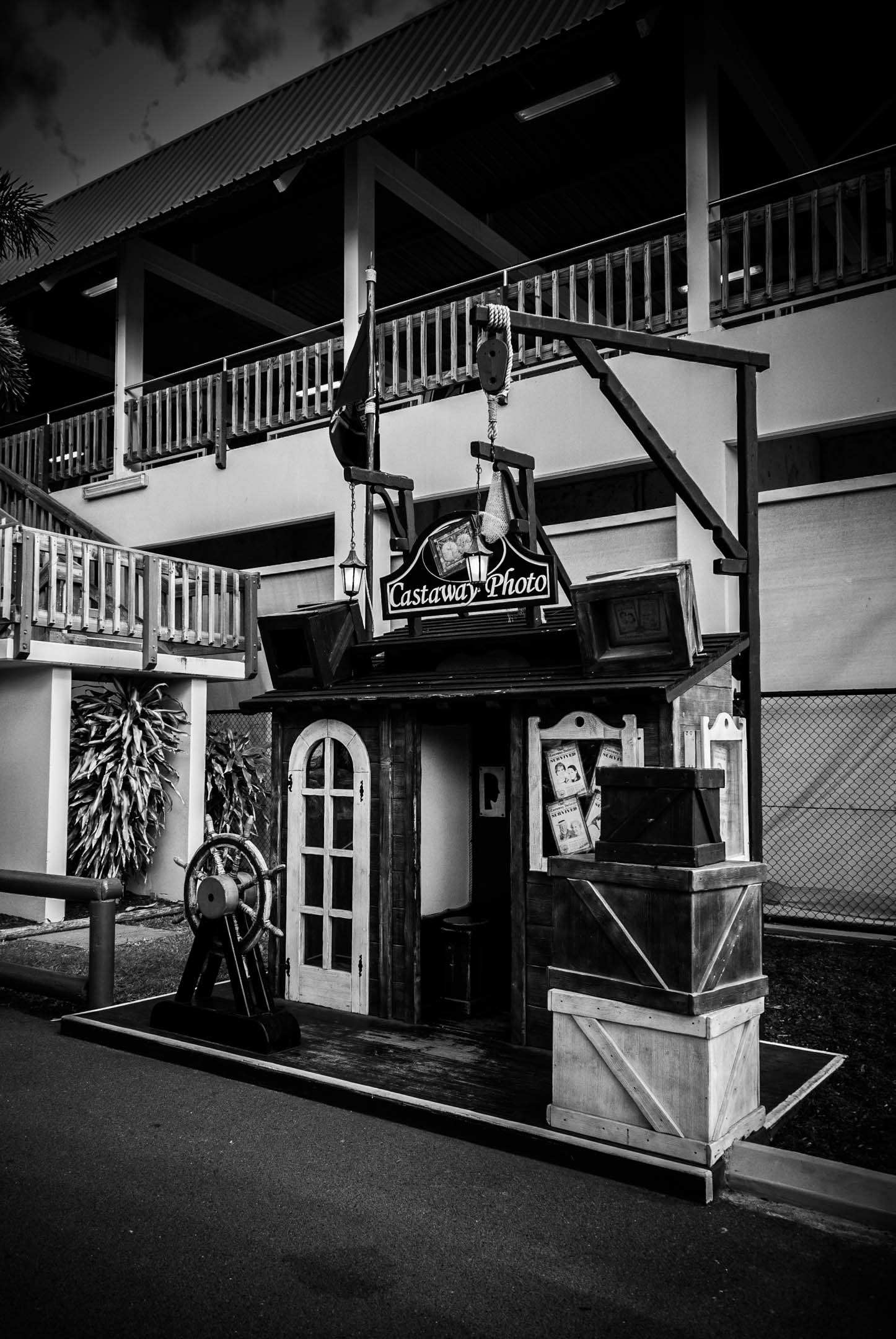 Now observe this photo. Can you tell the similarities?