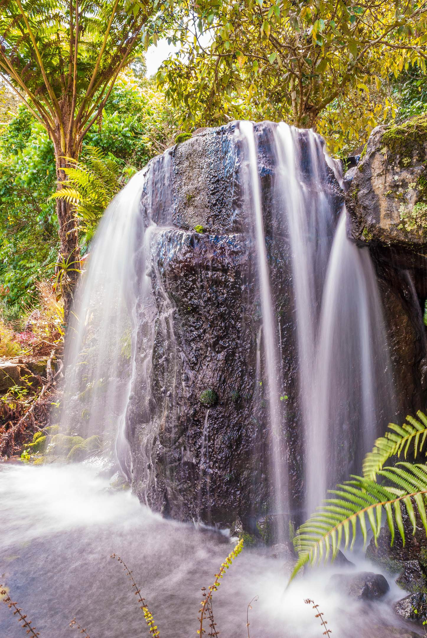 Here's the photo other waterfall. I thought I should emphasise the size of this waterfall (because it was quite small), so I got real close and shot it in a portrait orientation.