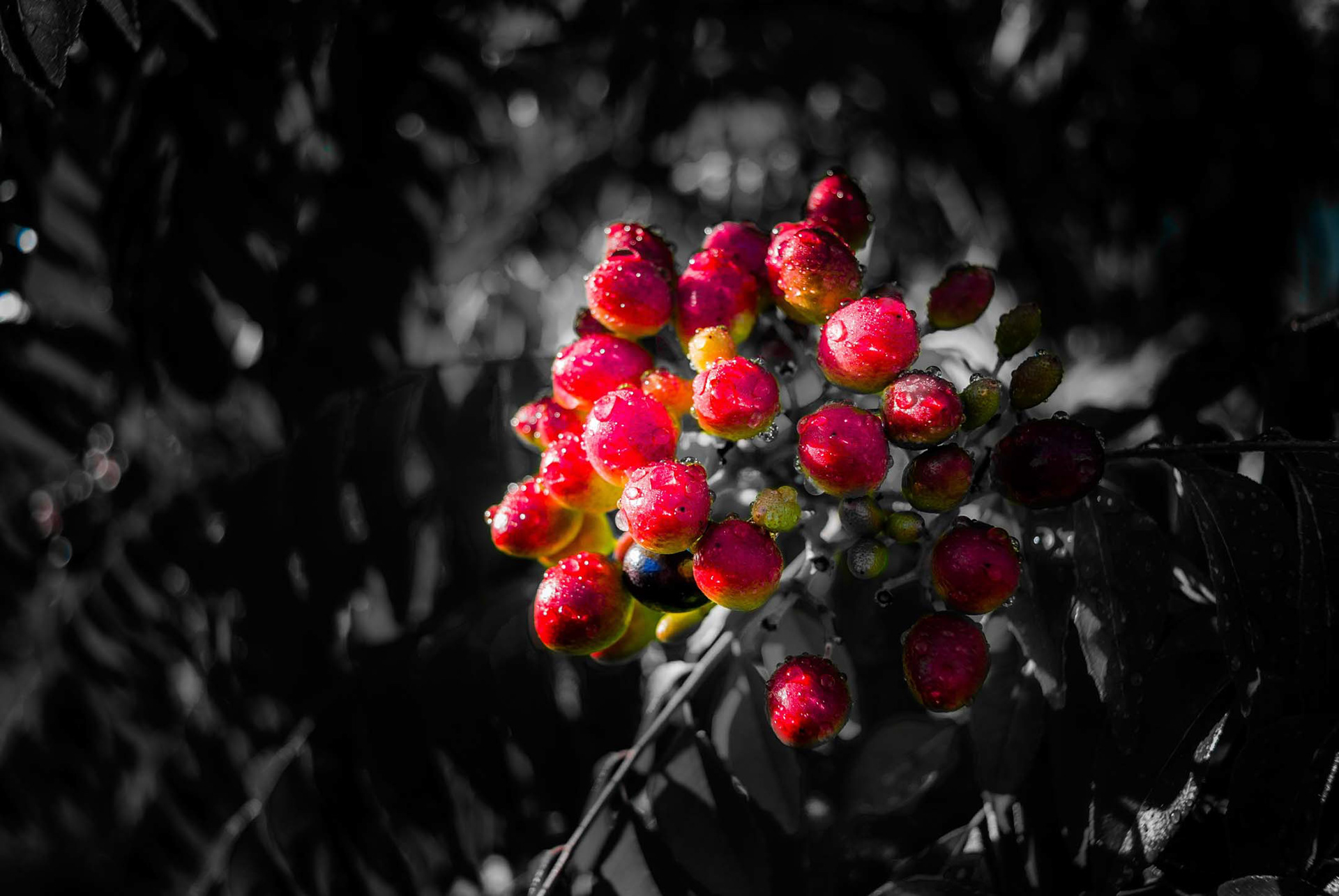 Here's another photo I took on the day I got my D80.