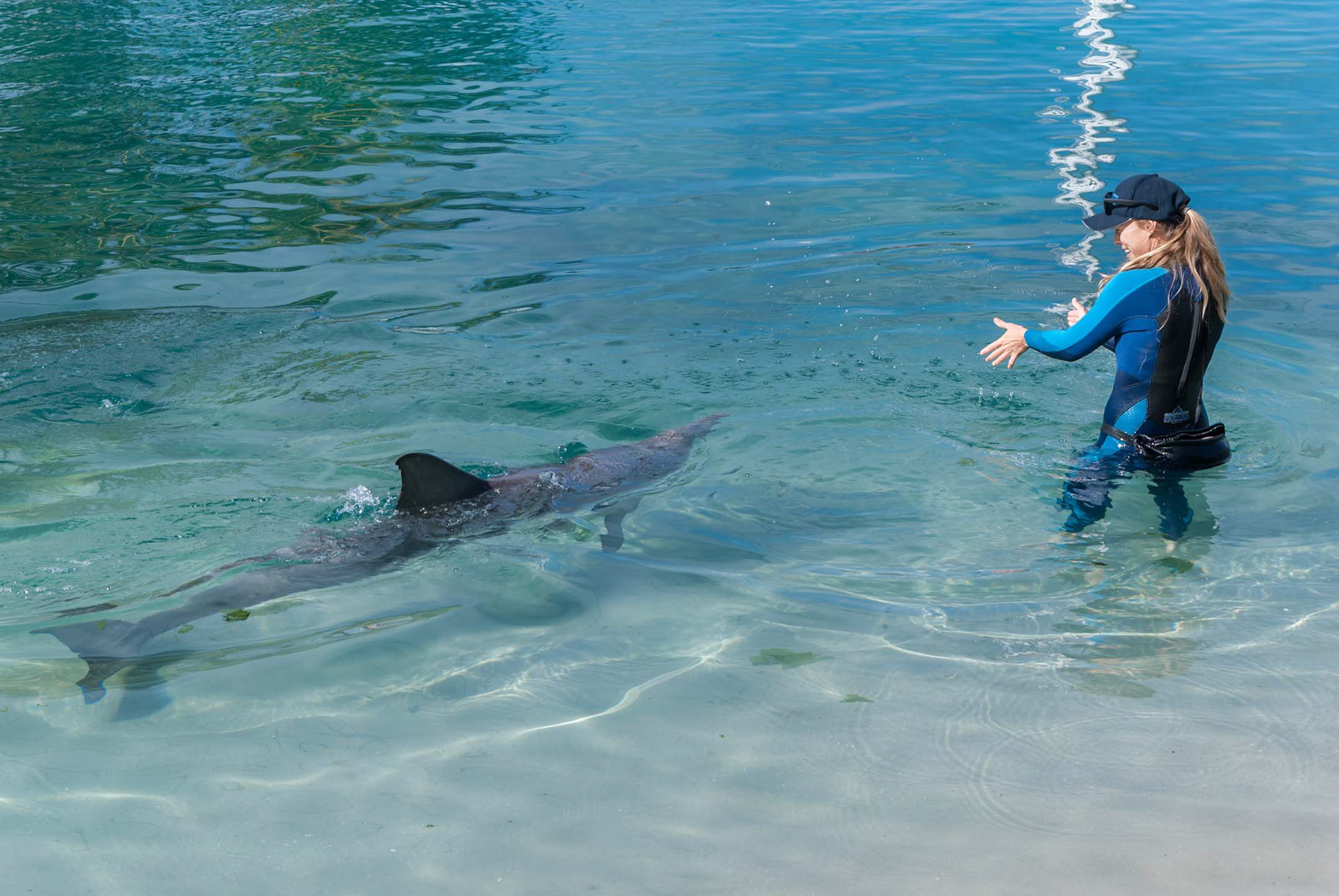 Do you like dolphins? Then you'll love what's in store at Sights of Life Photography next week. Stay tuned to find out!