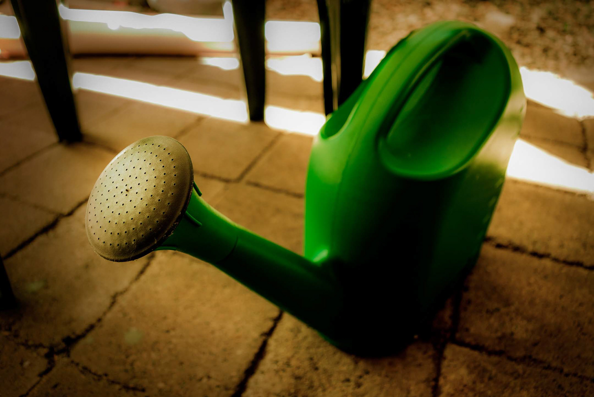 Here's a shot I took of my watering can. It was pretty basic out of the camera but I wanted to try something different in post-processing, so I pushed the temperature and contrast way up, reduced clarity, and added a brightness layer mask to brighten the subject alone. Here's the end result.