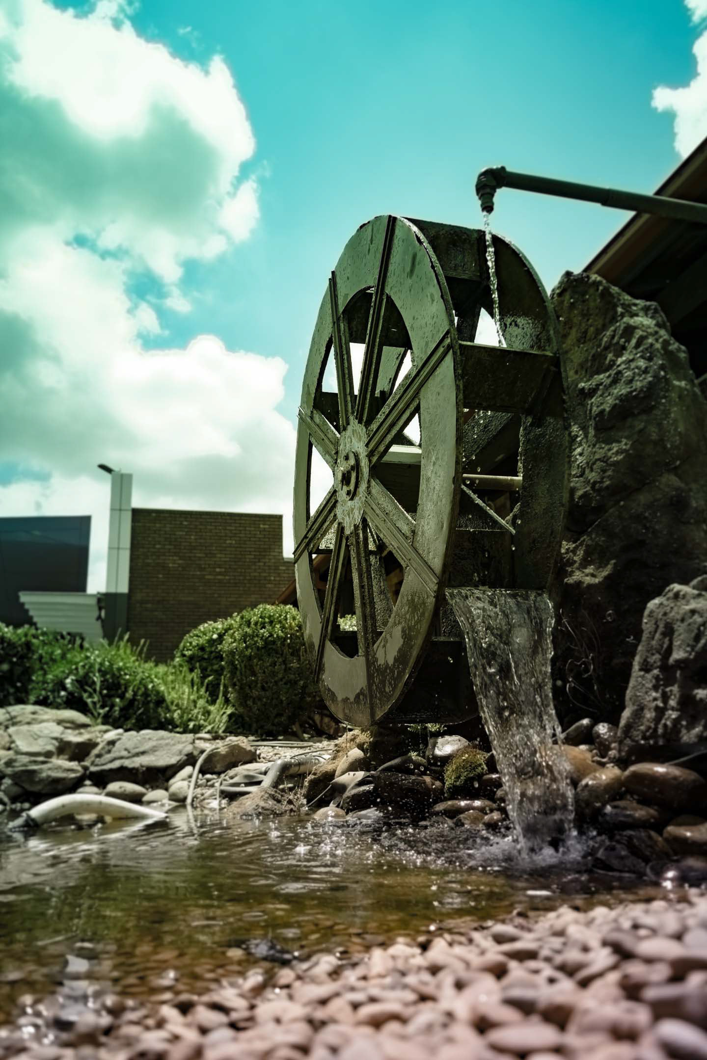 Found this one at a garden in the hotel I stayed at when visiting Sydney (for my summer vacation, 2016-17).