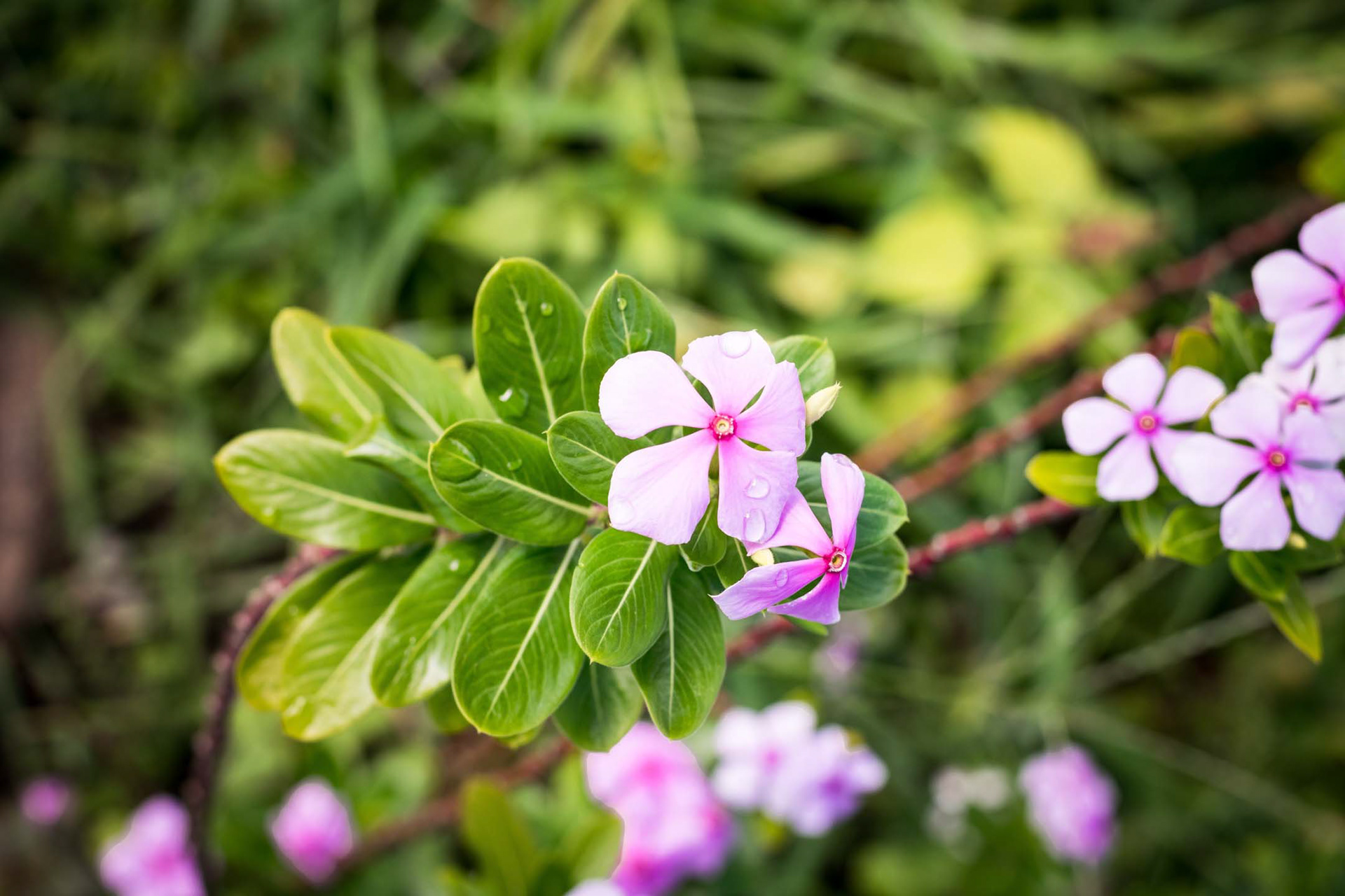 Here are a few test shots from the D3300 when I first bought it.