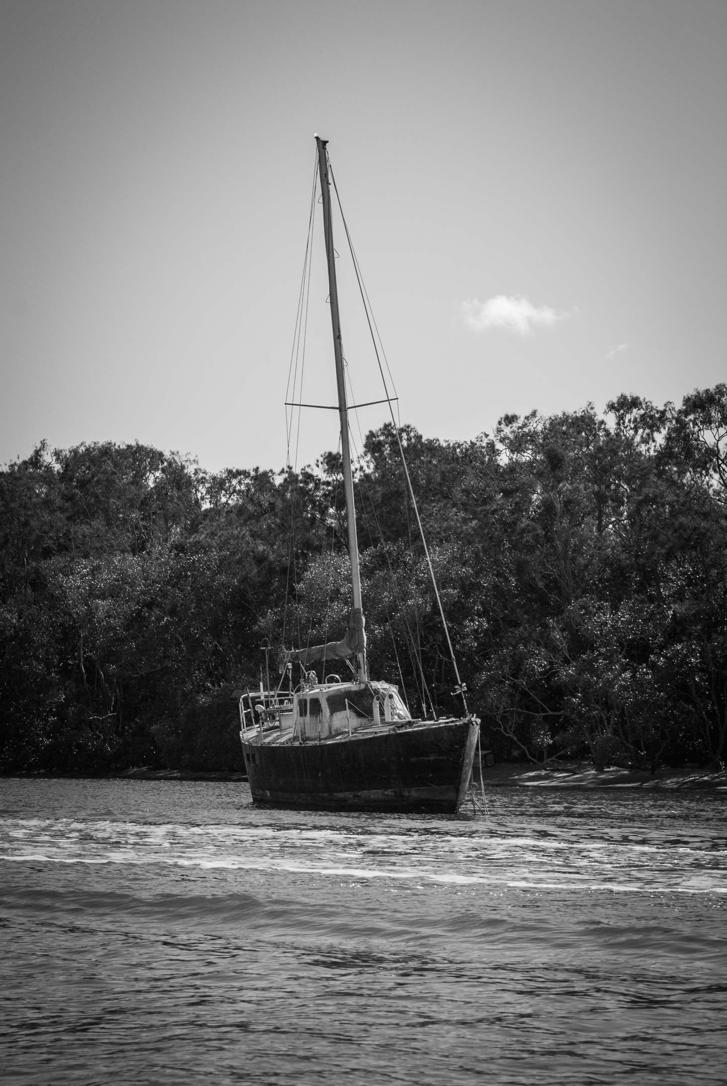 Here are a couple of shots of an old boat that sat on the Noosa river.