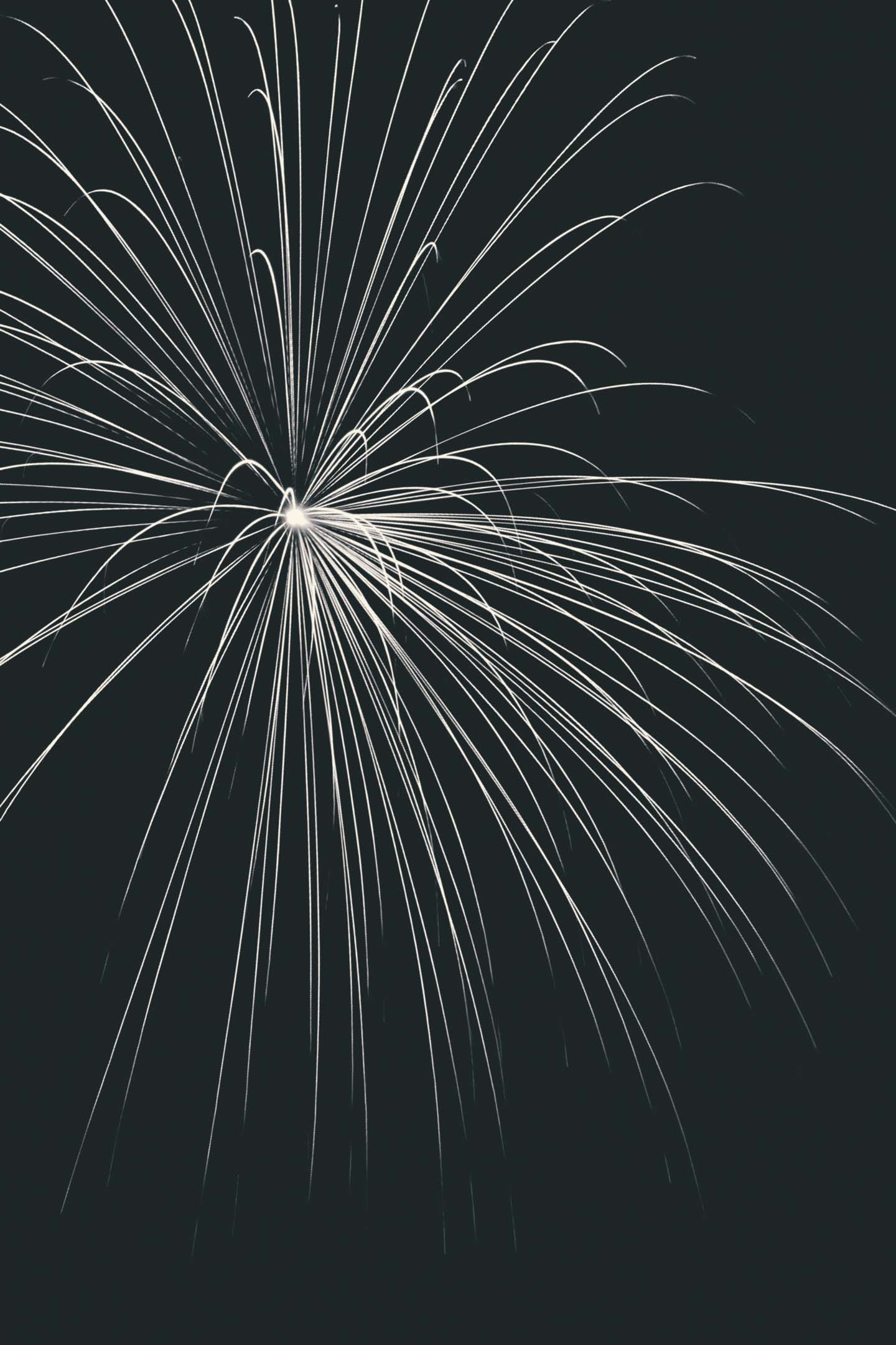 Fireworks from a unique perspective.