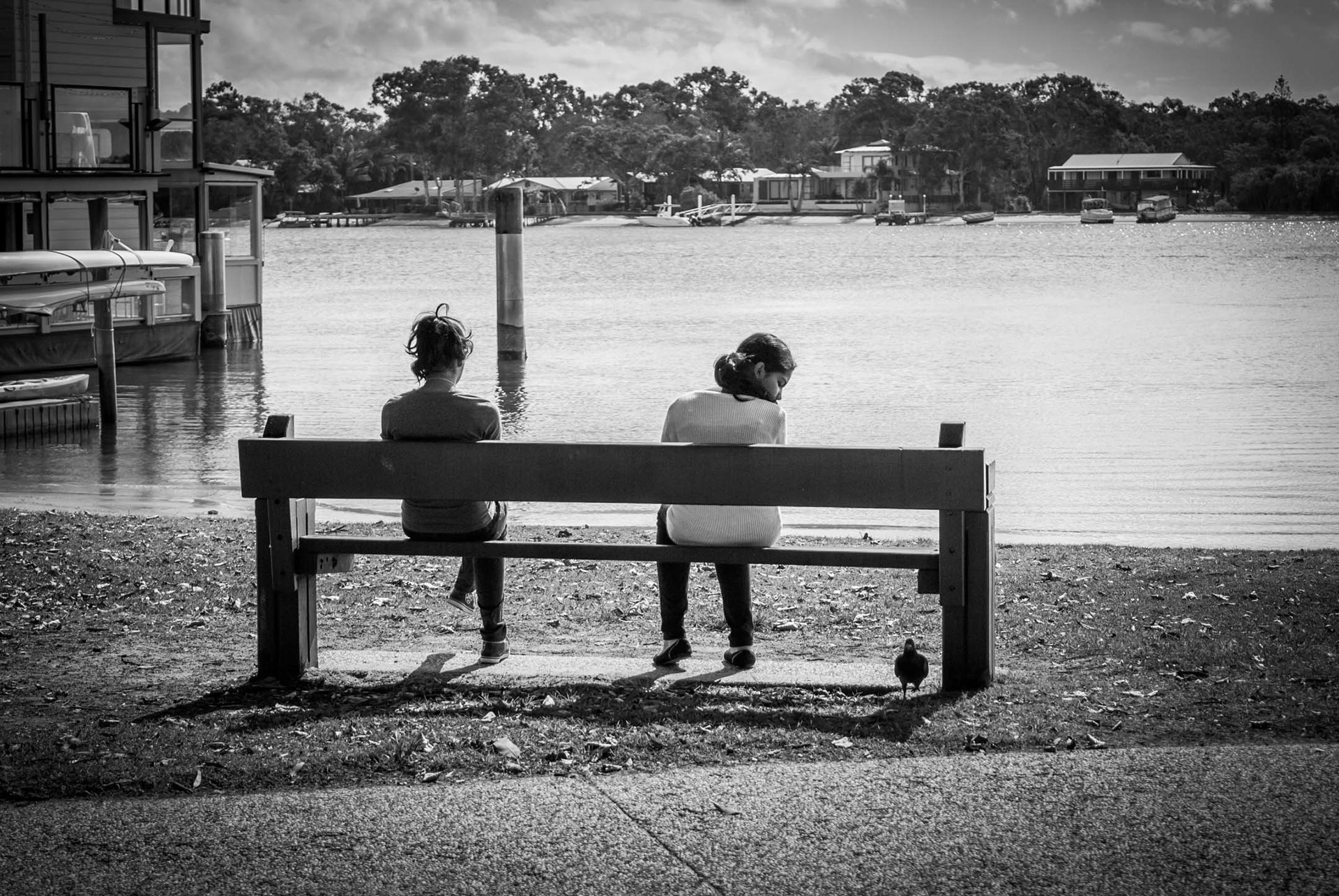 ​I took this photo intending it to be a serious one. But I only realised that it had been photo bombed when I opened it up on my computer. Can you find the culprit? He's staring right at you! 😛