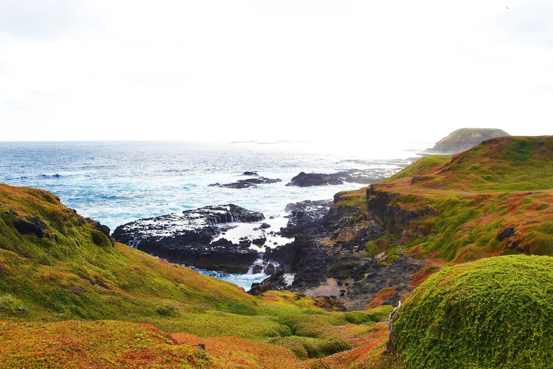 I don't quite remember the place where I took this photo, but I do remember it was somewhere in Southeast Australia.