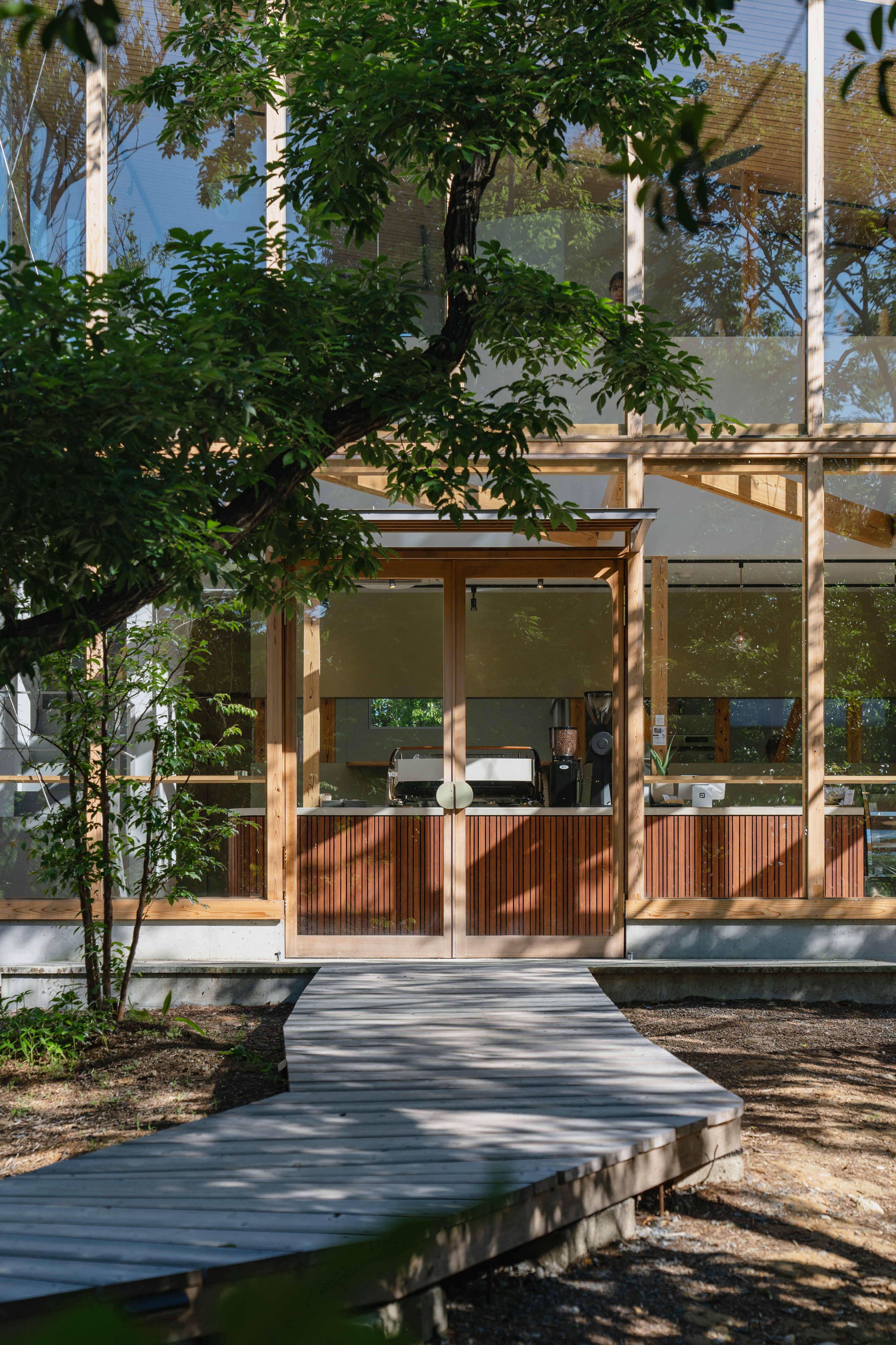 木道から繋がる メインエントランス