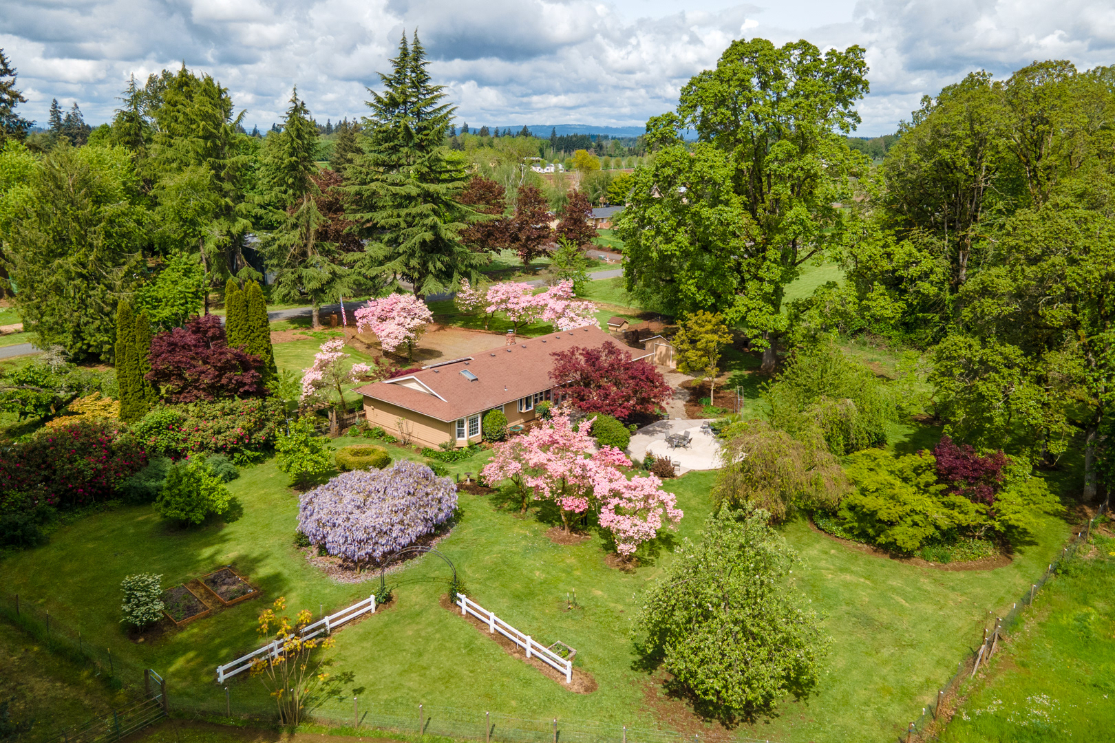 Stunning aerial drone shot of a ranch-style home surrounded by lush fruit trees—capturing beauty from above.