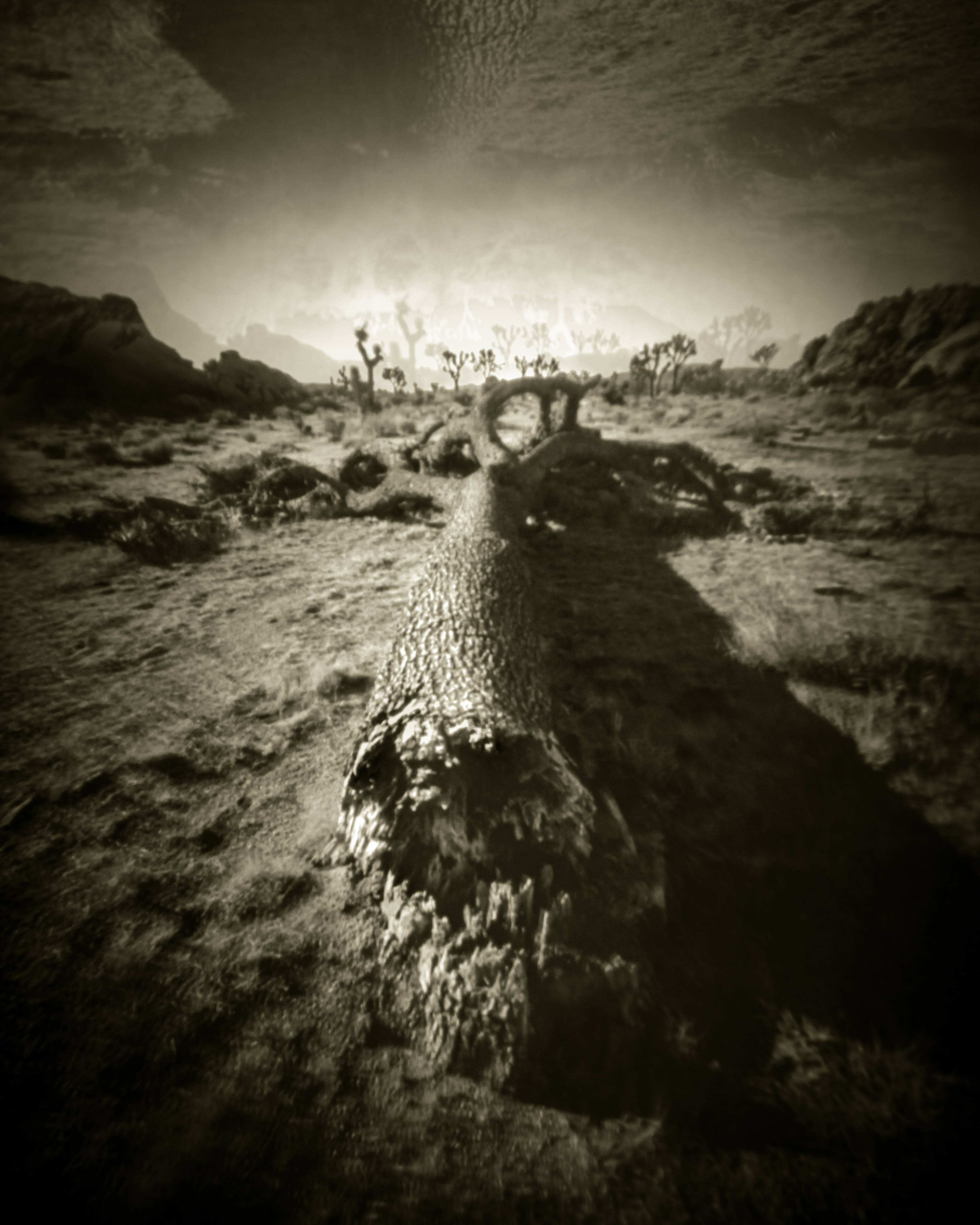 A thousand compliments on our head be crowned, but one negative comment, we are felled to the ground.