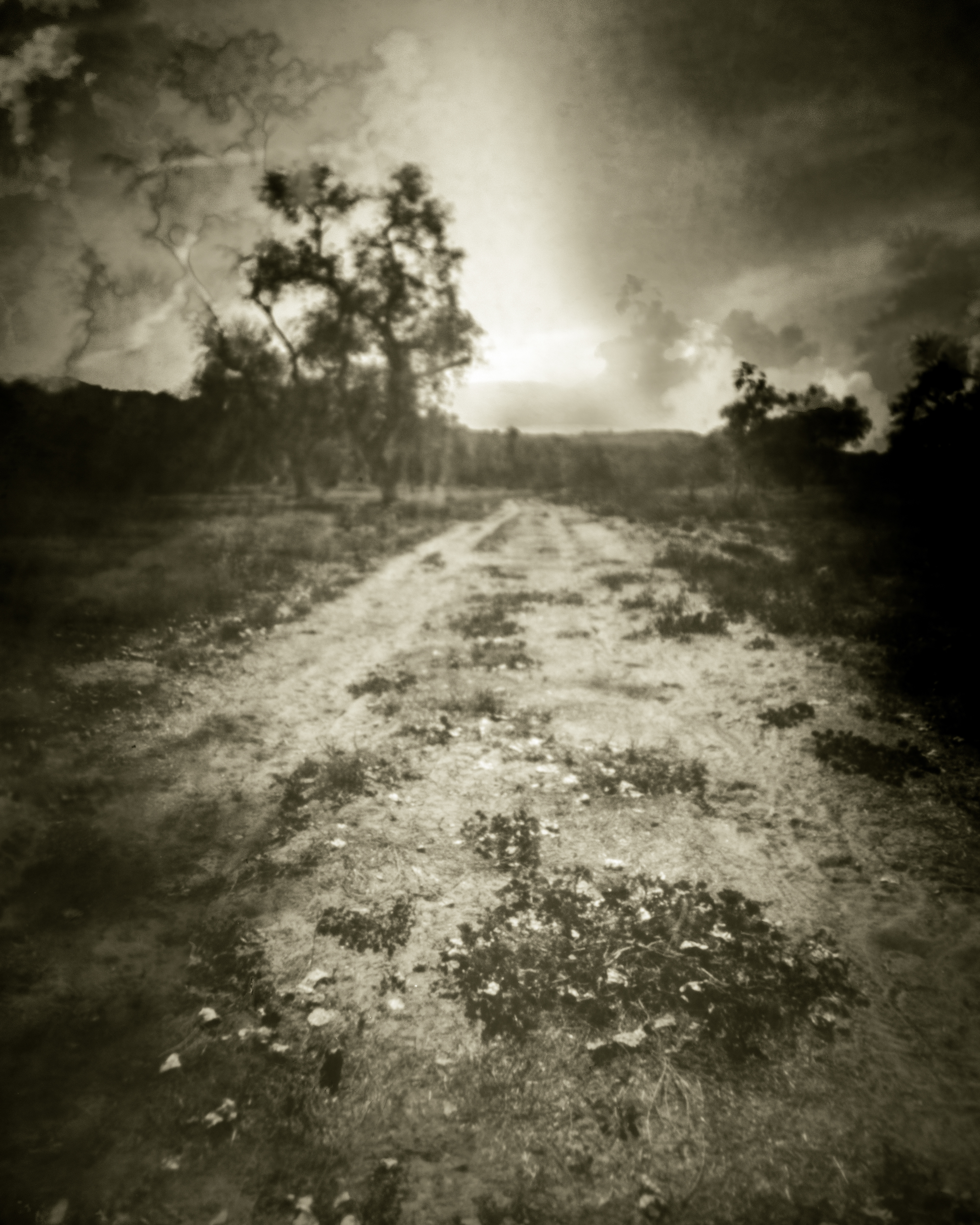 Devine purpose slowed for years, path obscured by worries and fears.