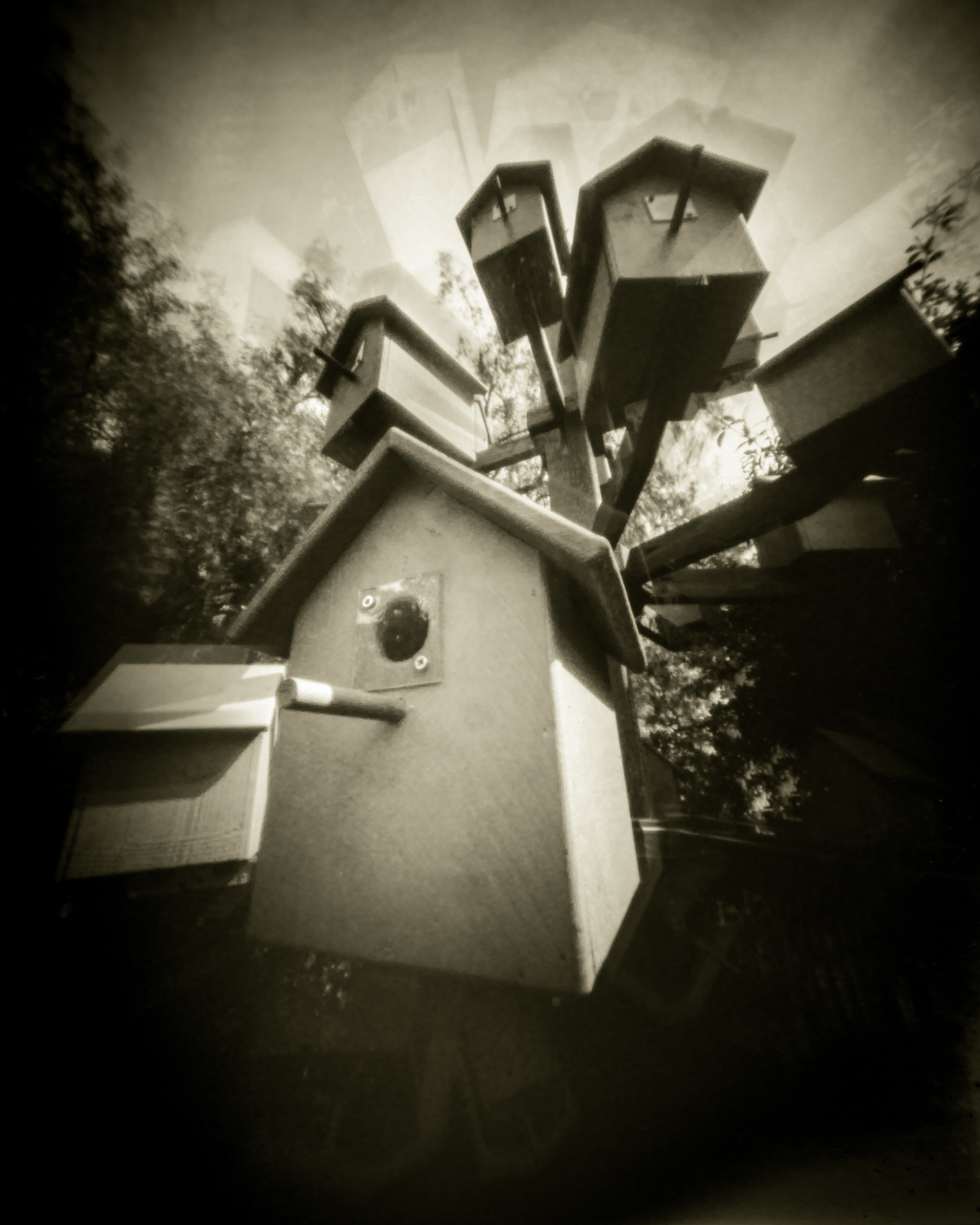 Covid hits, forced to hide where we dwell, mentally unhealthy, crawling up tight in our shell.