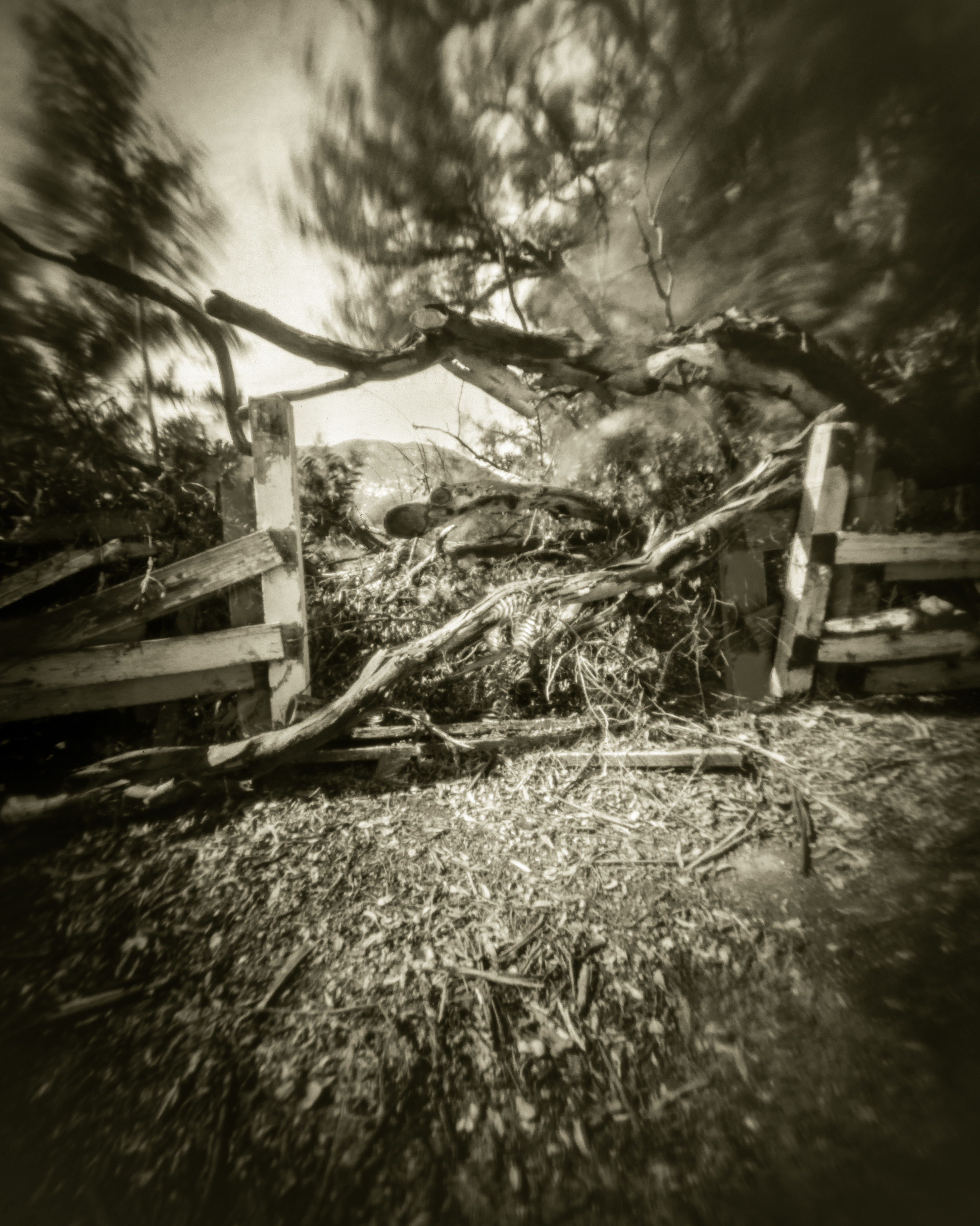 For fear of drama, hate, or displeasure, our boundaries are rickety, we will please you however.