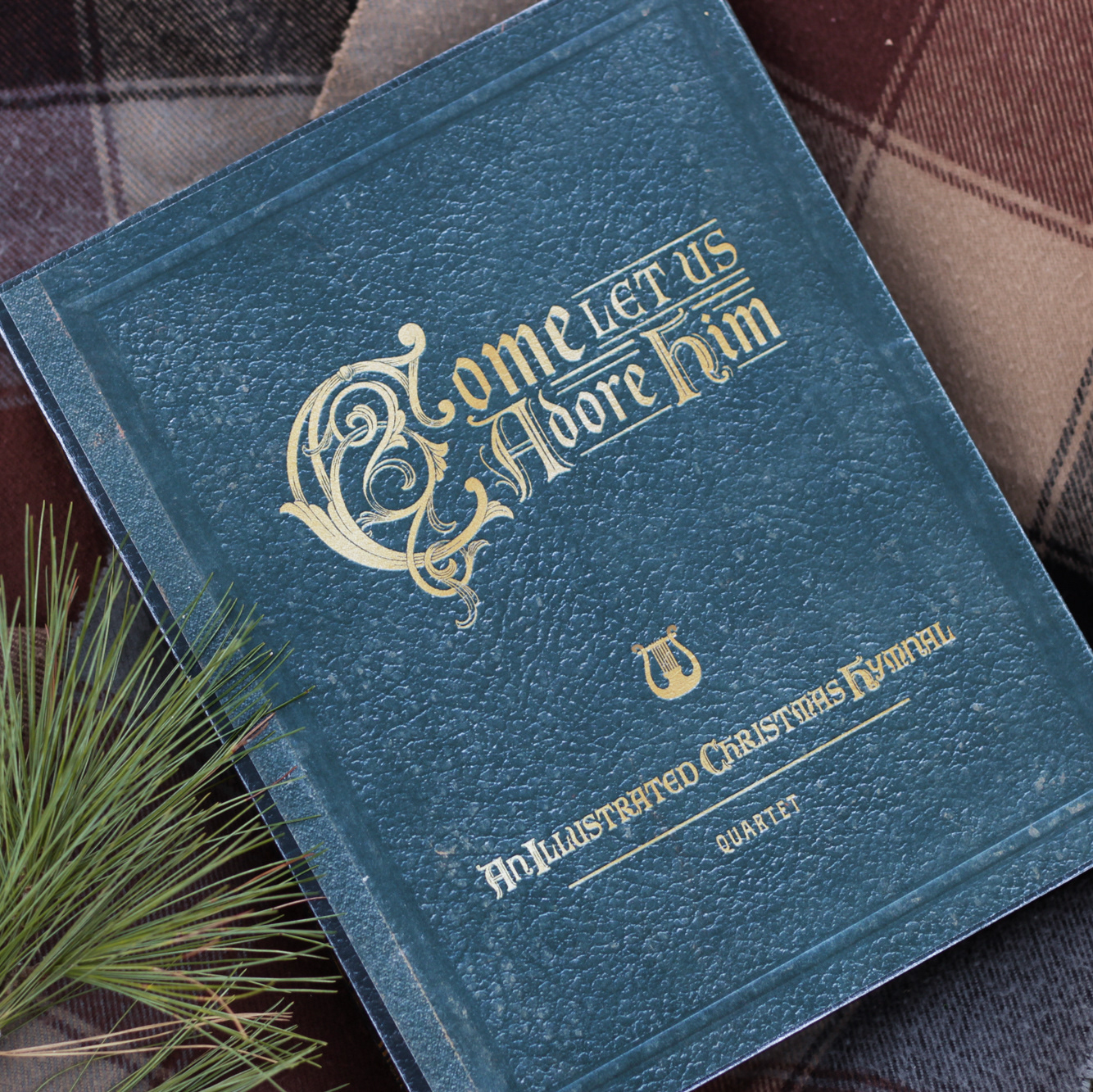 the front of the slipcover