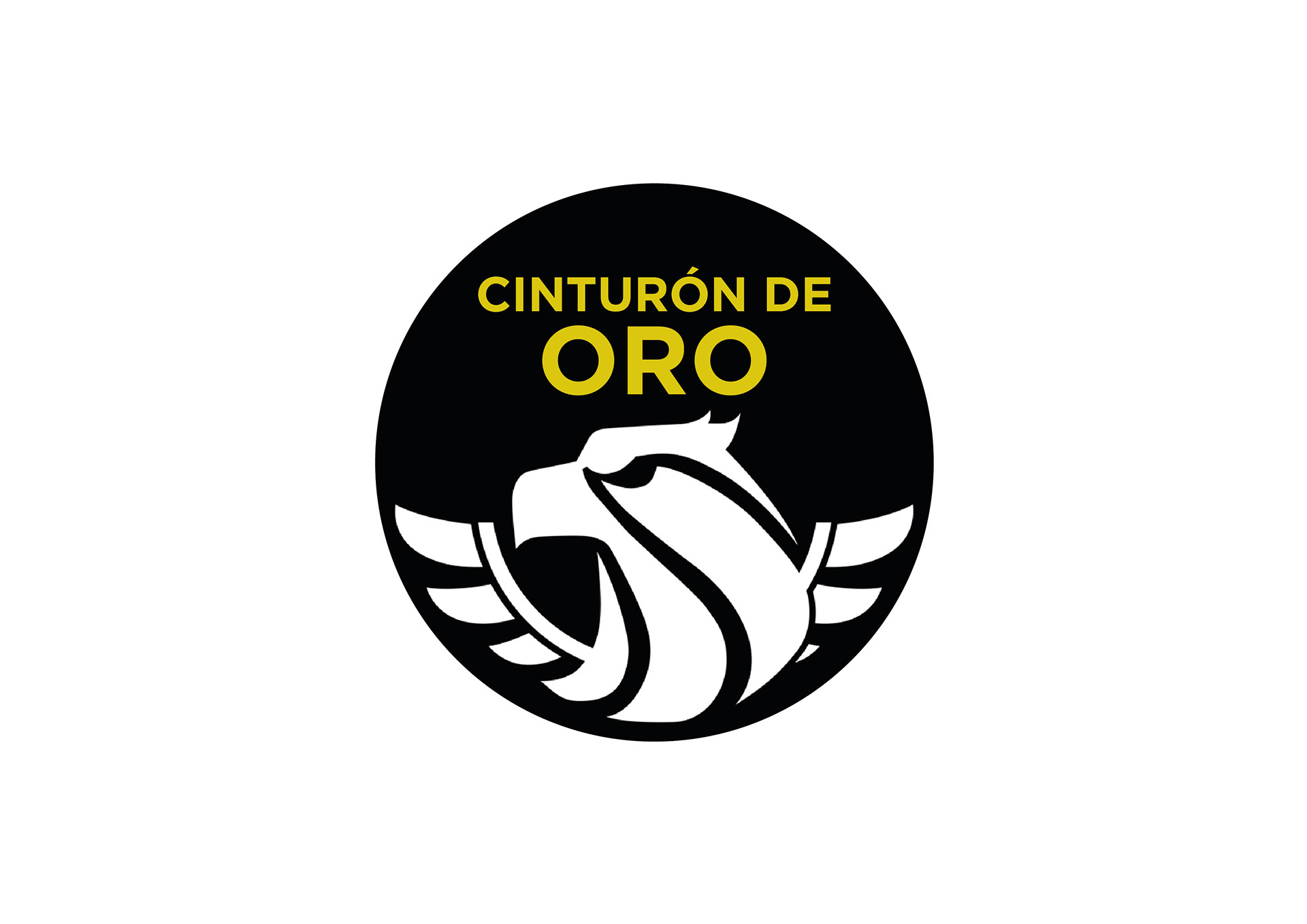 DIRECTOR DE IMAGEN CORPORATIVA
