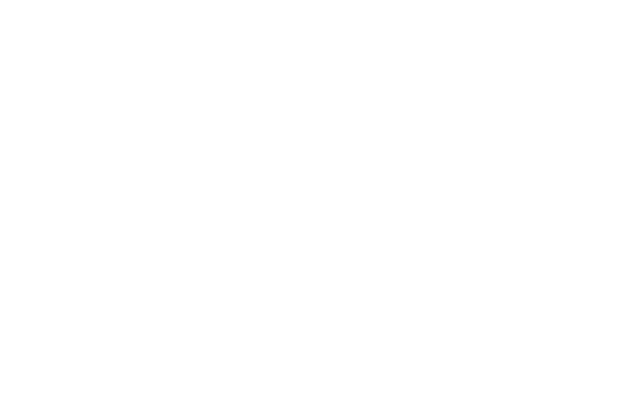 American Primitives