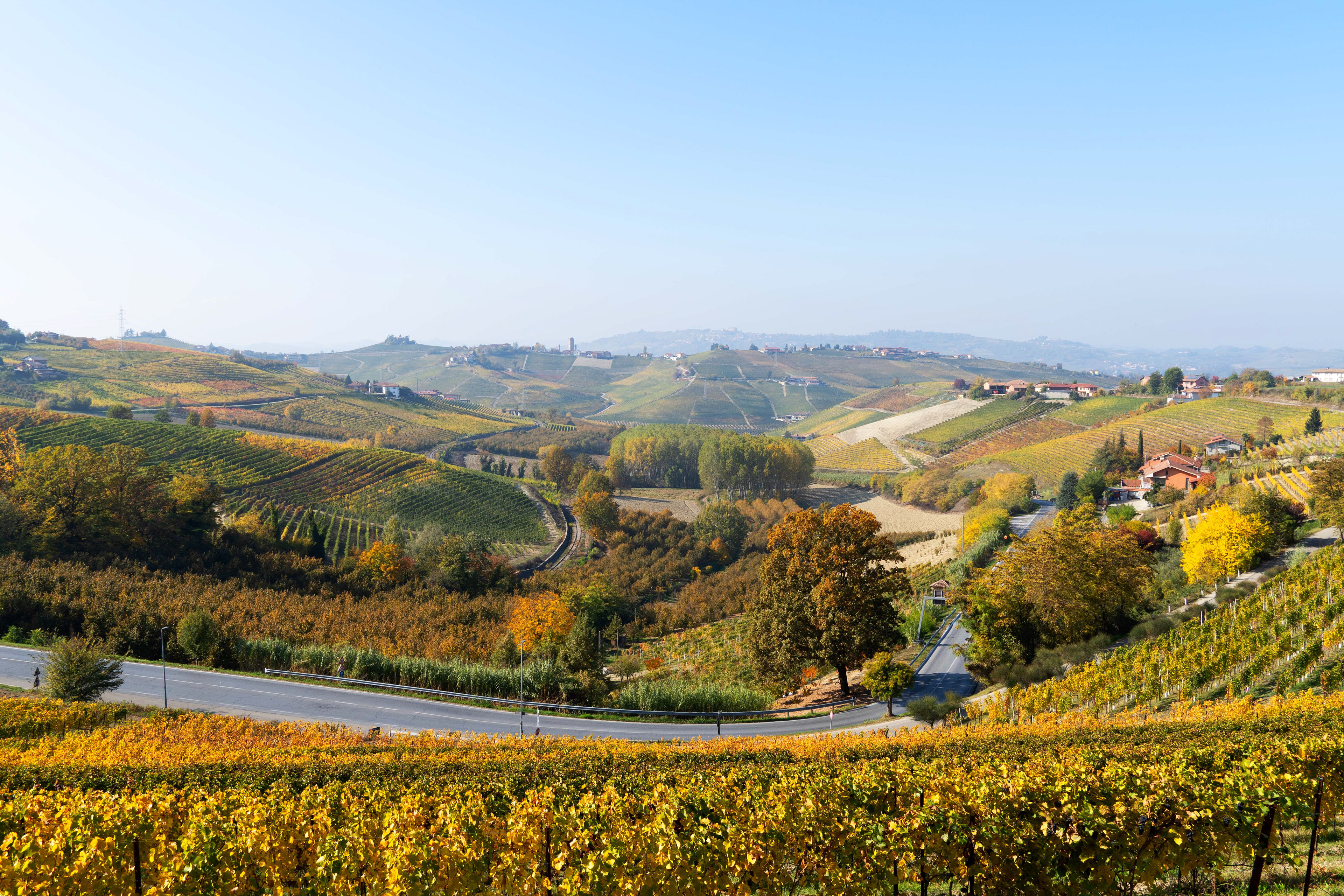 Vignoble de Barolo - Octobre 2021