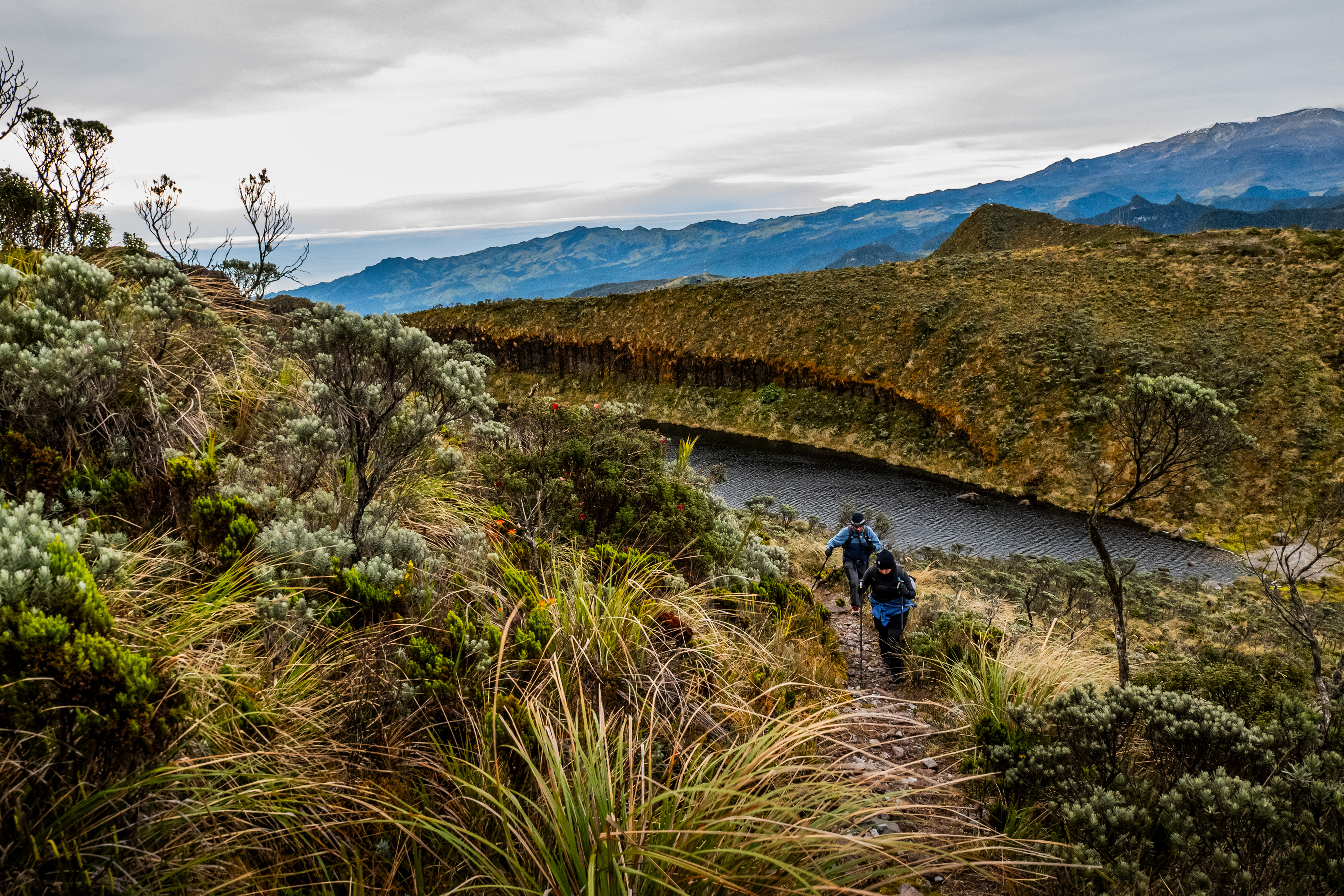 Caminando por Cerro Bravo