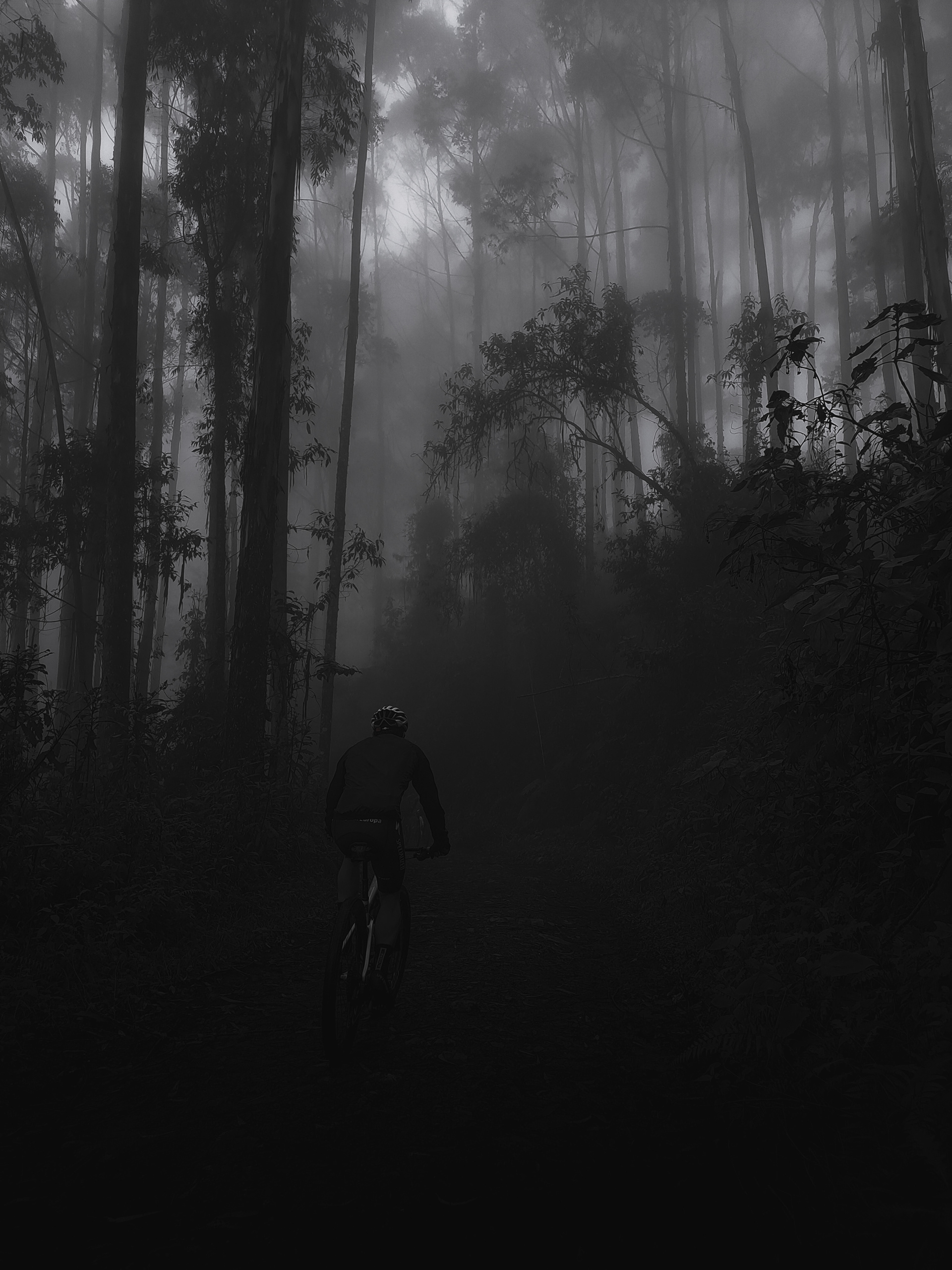 Entre la niebla - Manizales Colombia