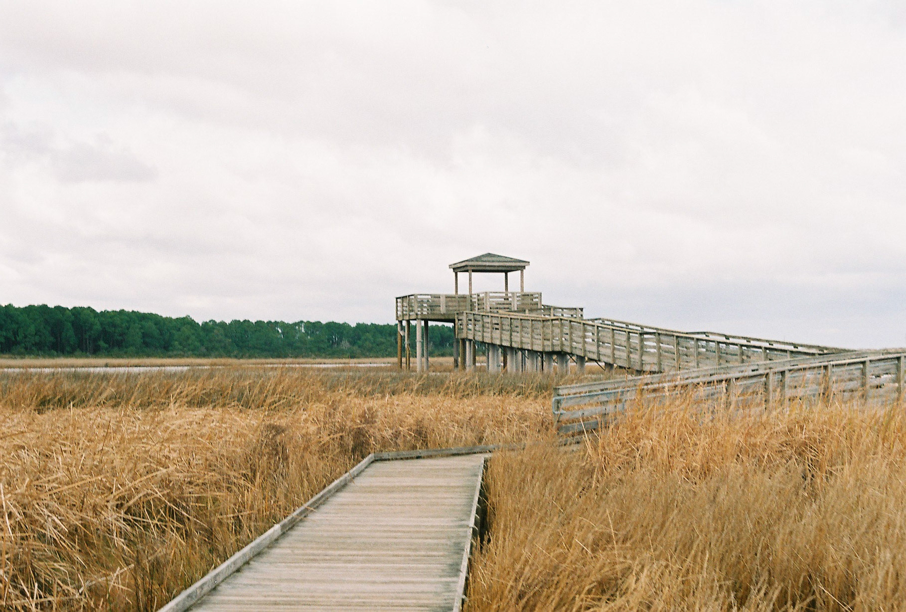 OBX