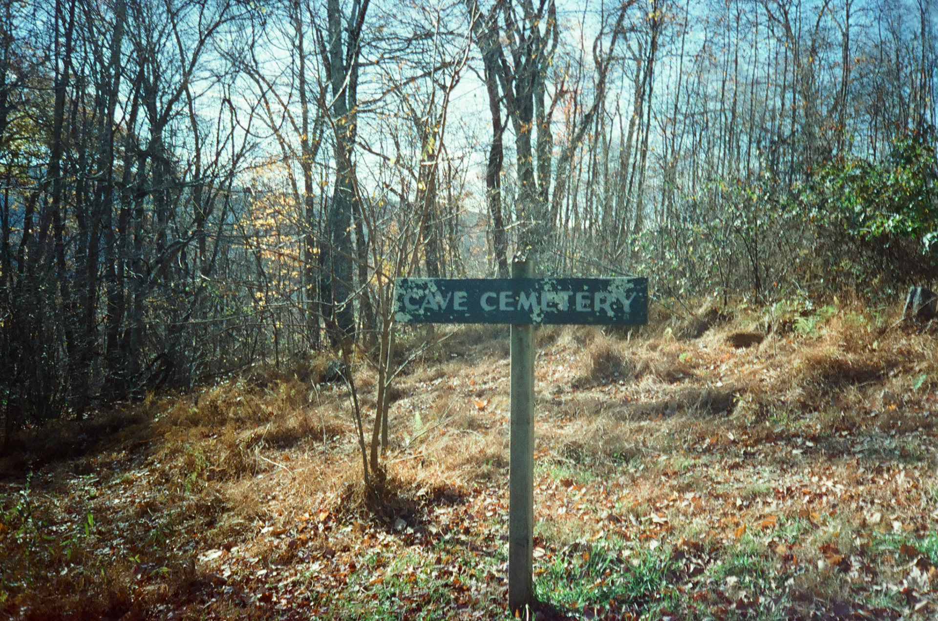 Shenandoah