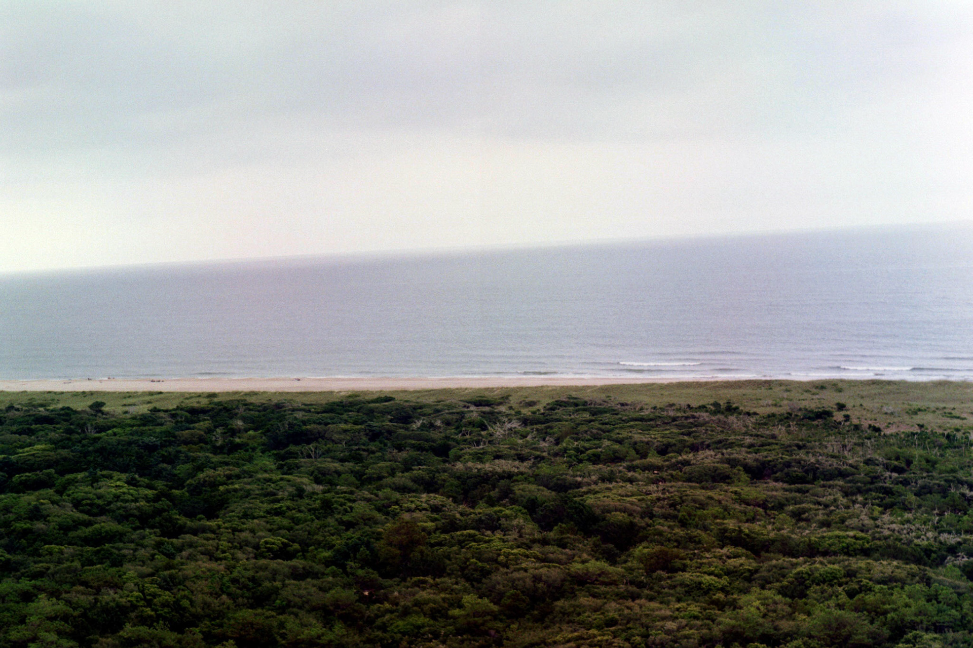 OBX