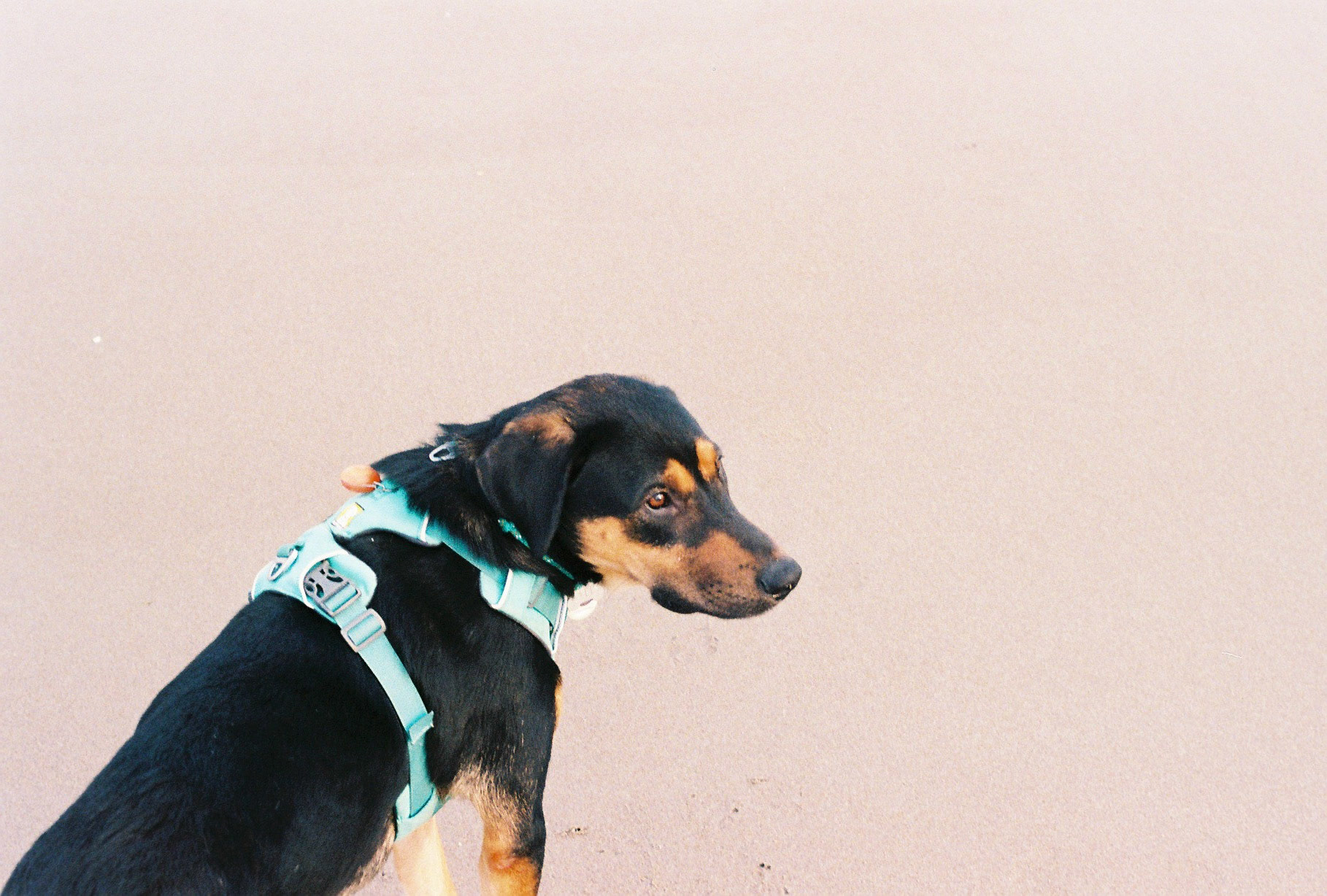 Holden Beach