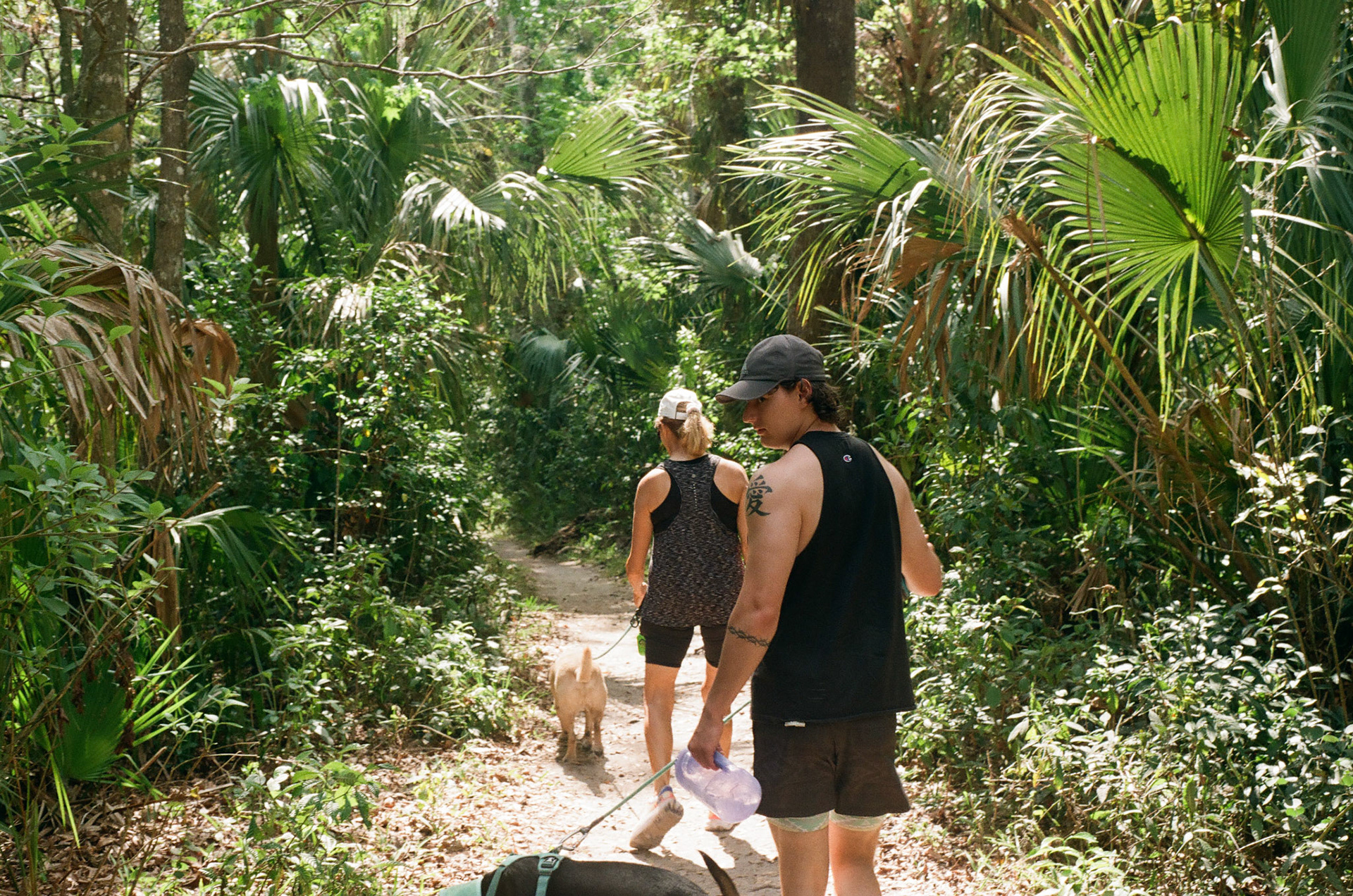 Highlands Hammock State Park