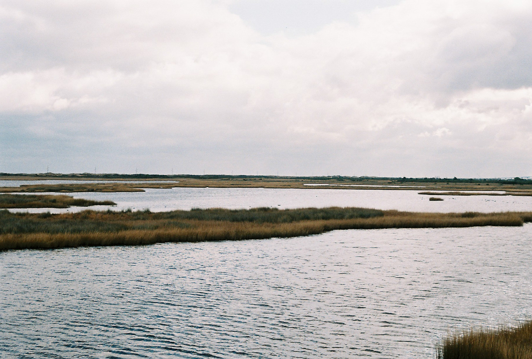 OBX