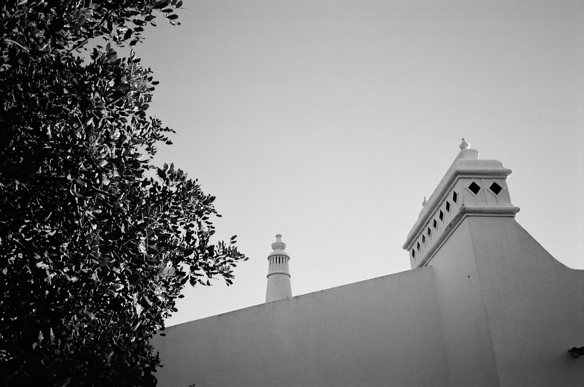 Carvoeiro