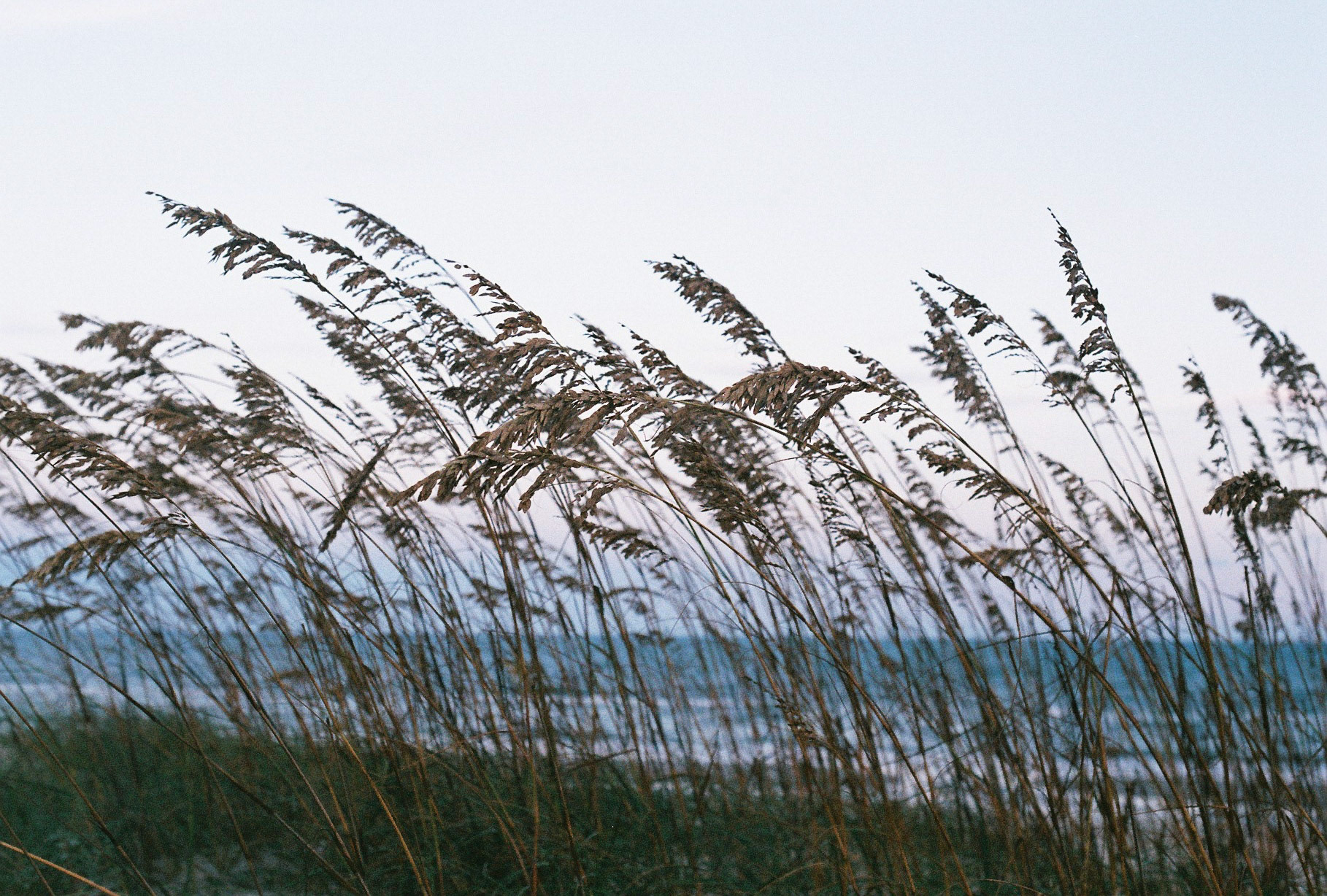 Holden Beach