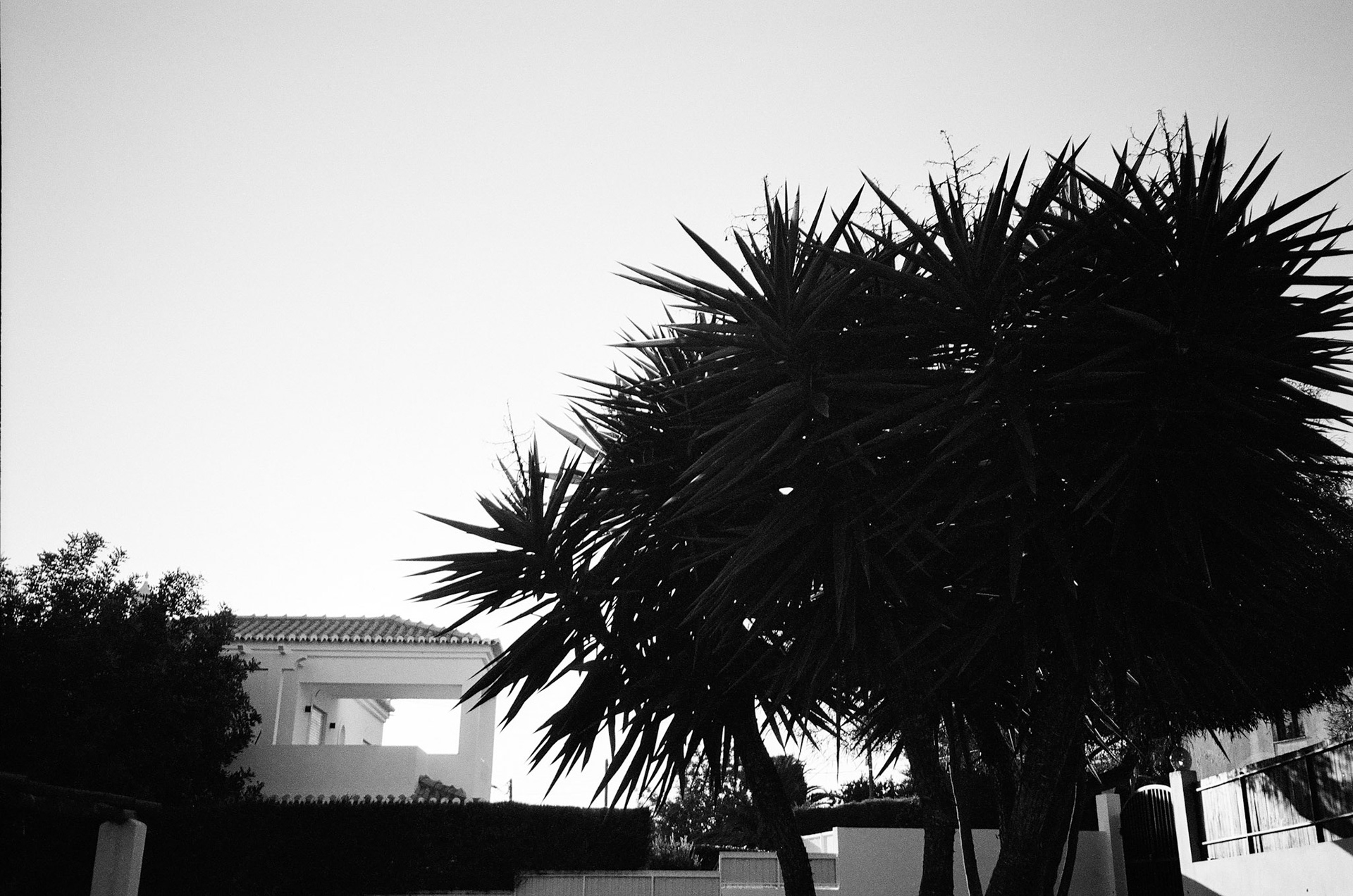 Carvoeiro