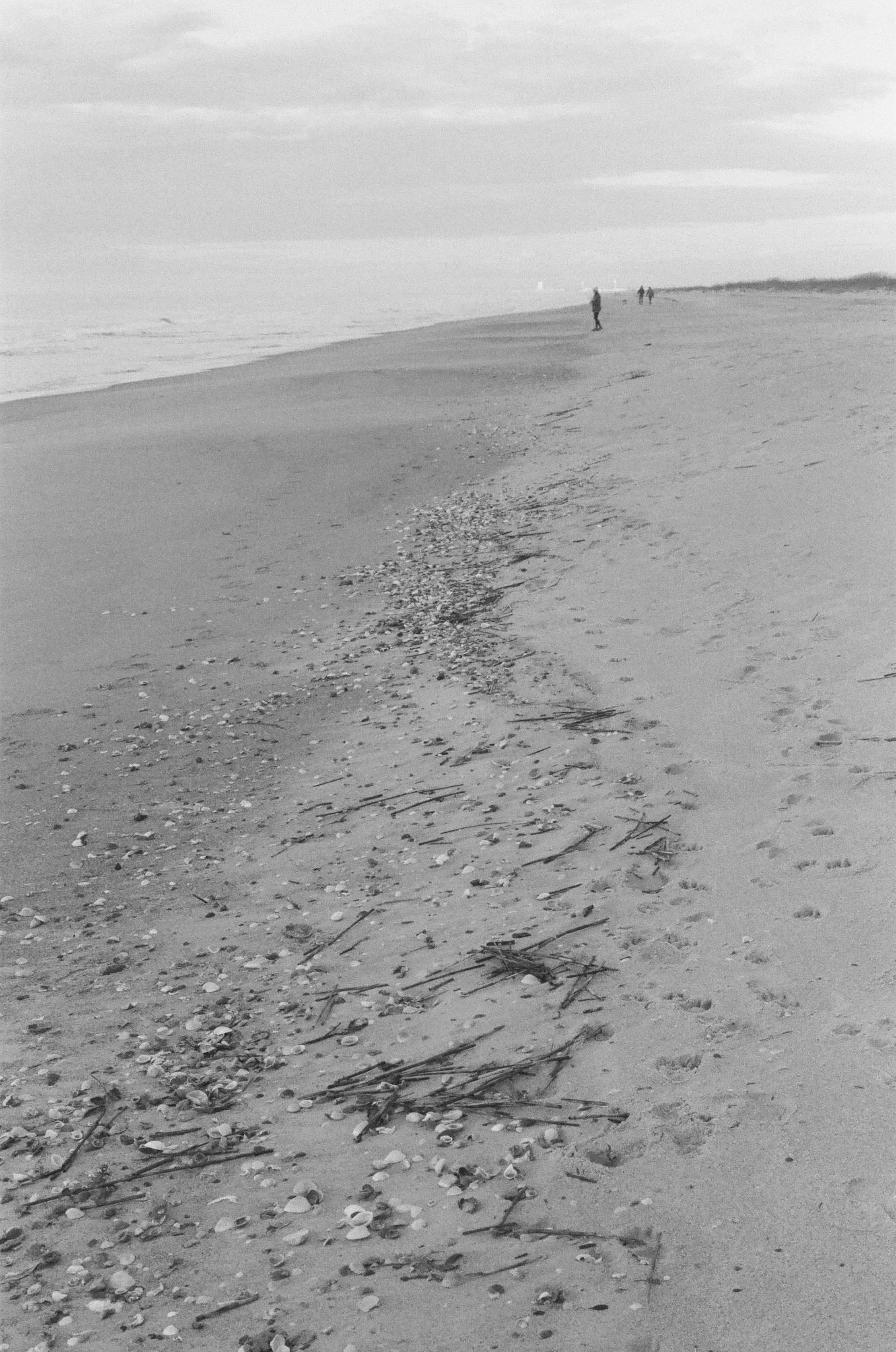 Holden Beach
