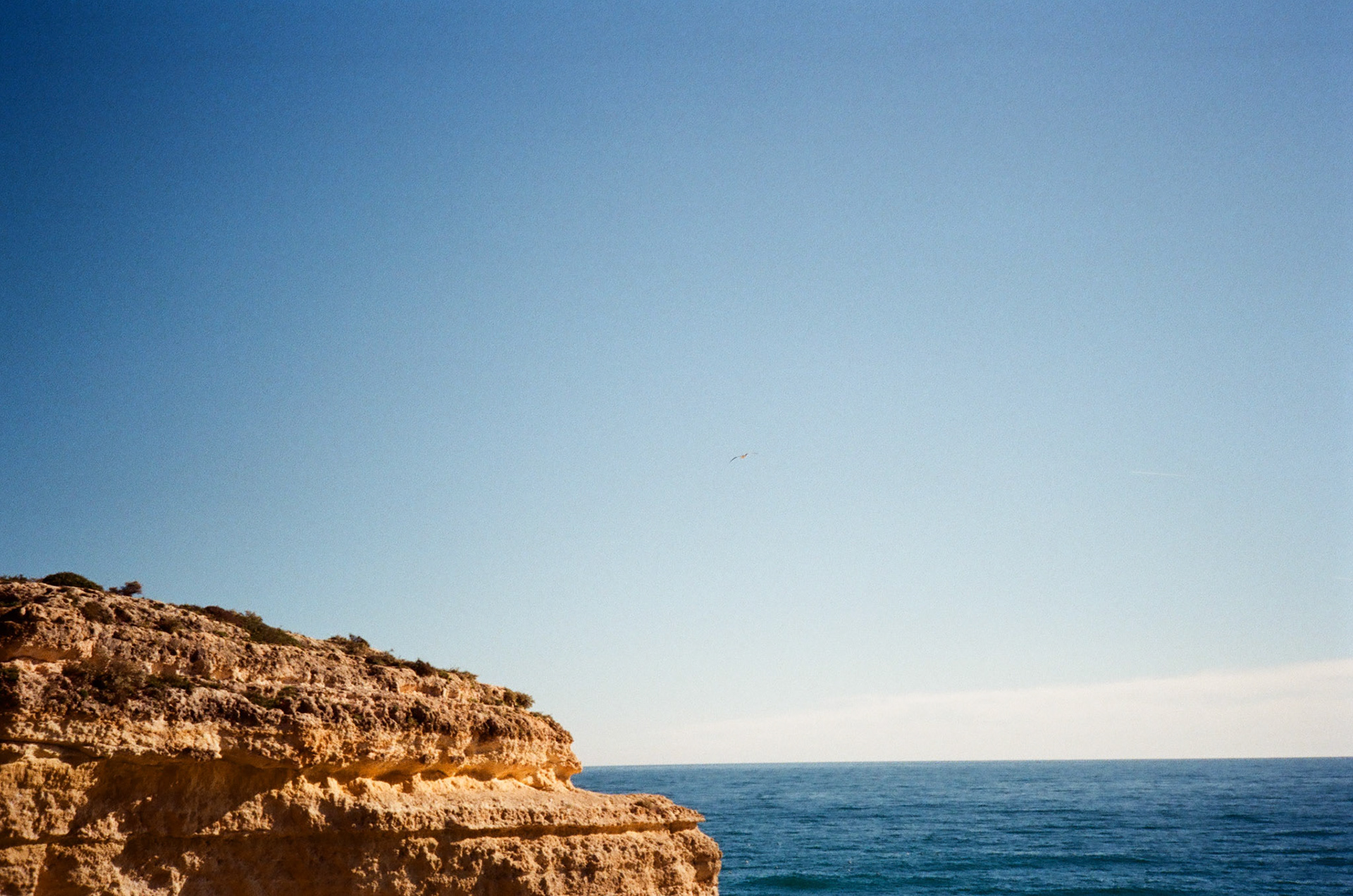 Lagoa