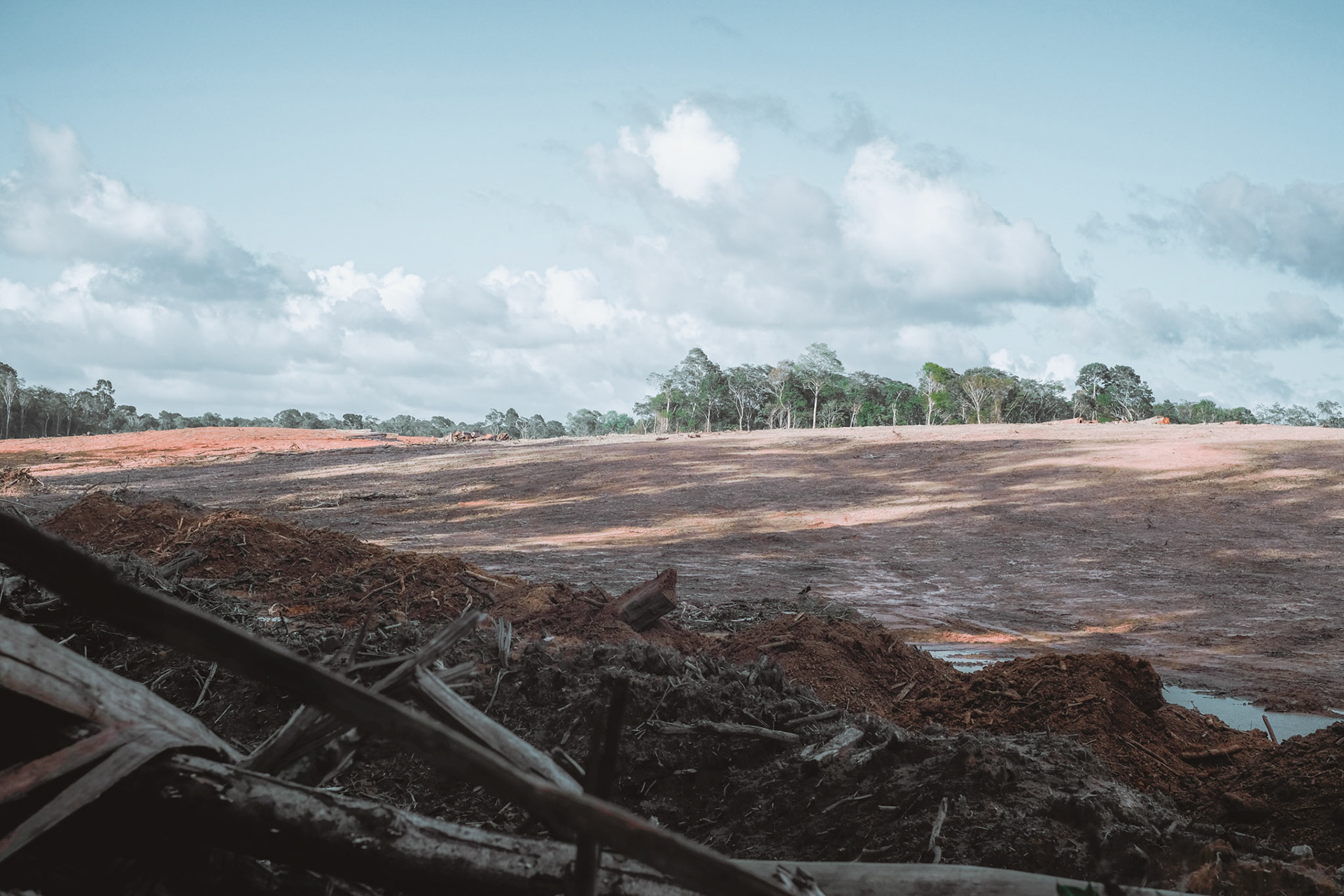 Terrain des affrontements entre habitants et forces de l’ordre il y a tout juste un an, la surface déboisée impressionne par ses dimensions et l’absence qui parait anormal des sons de la forêt. À termes c’est 75 hectares qui devraient être à ce point défrichés