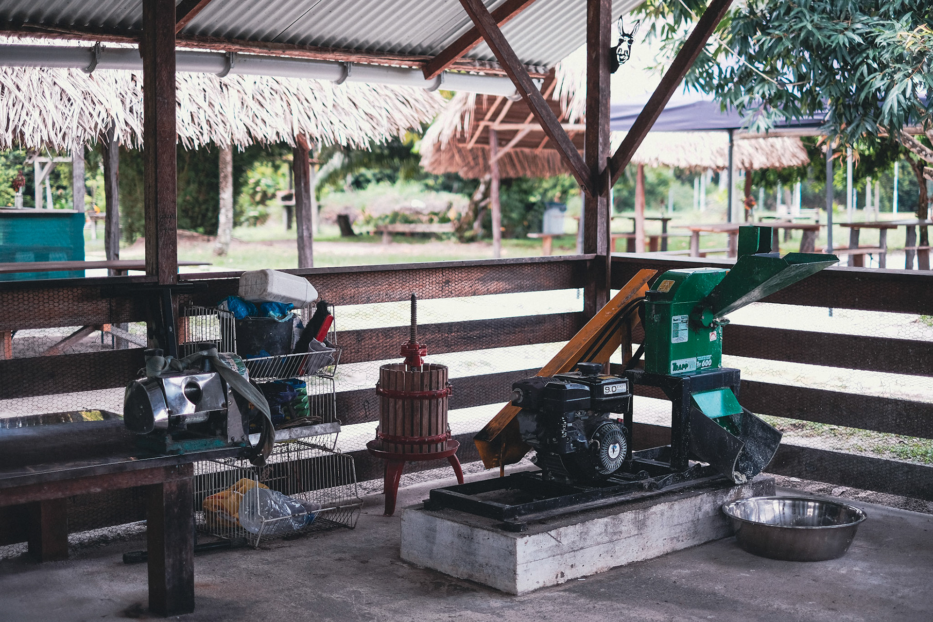 La nouvelle broyeuse à manioc, acquise par l’association, trône fièrement au milieu du carbet collectif d’agro-transformation. En panne ce matin là, c’est l’ancienne qui sera mise à contribution