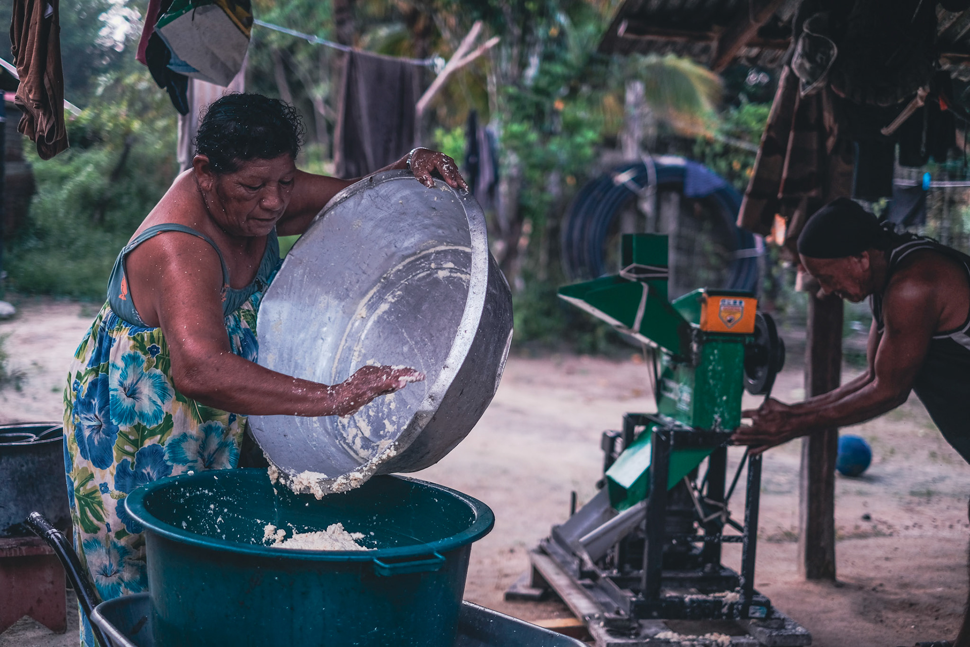 Une habitante récupère la pulpe du manioc fraîchement broyé