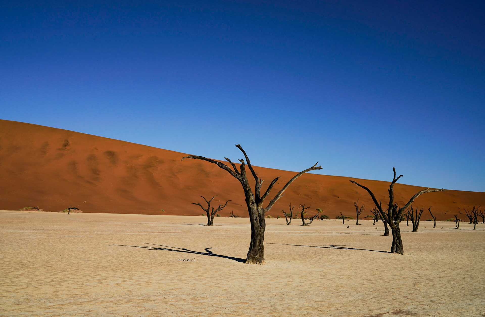 Sossusvlei