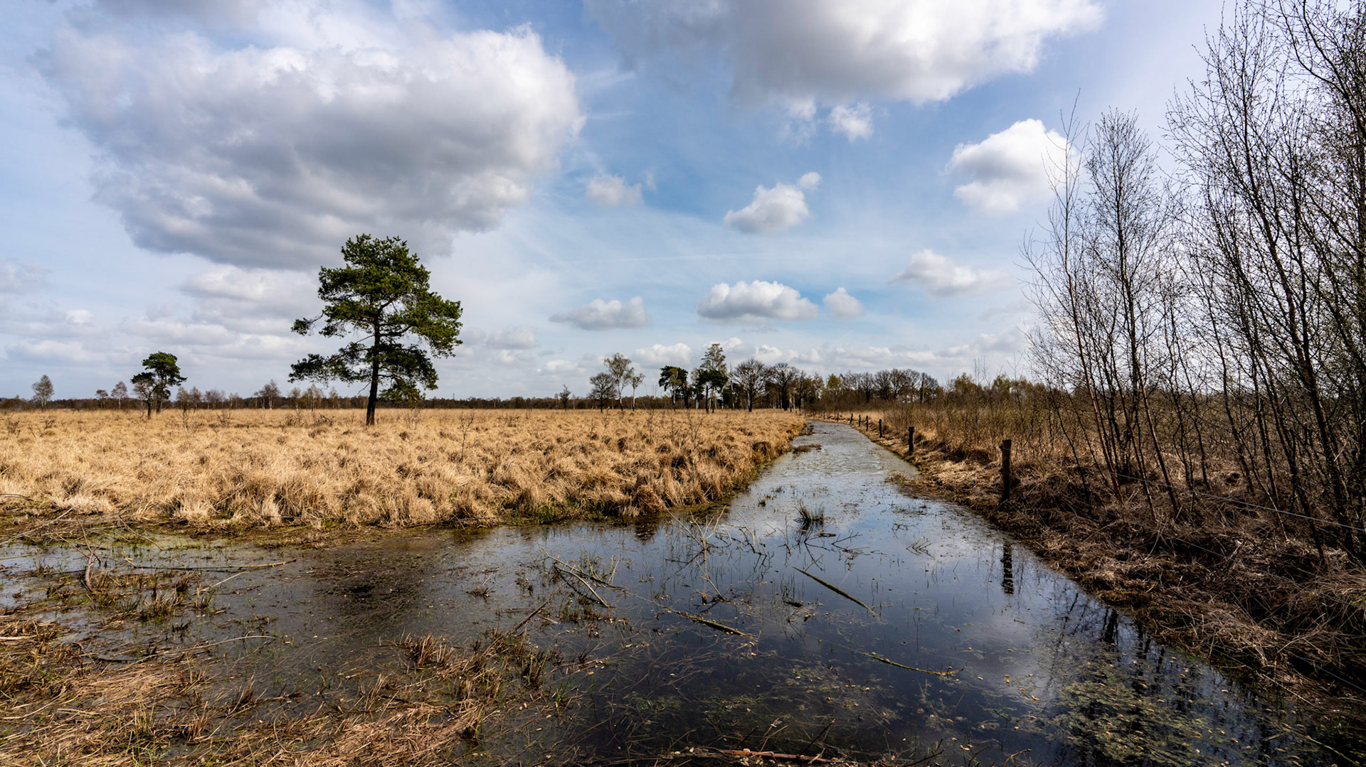 Mariapeel - The Netherlands