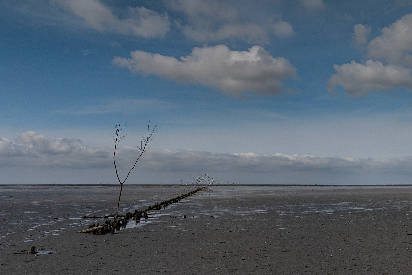 Wadden Sea - The Netherlands