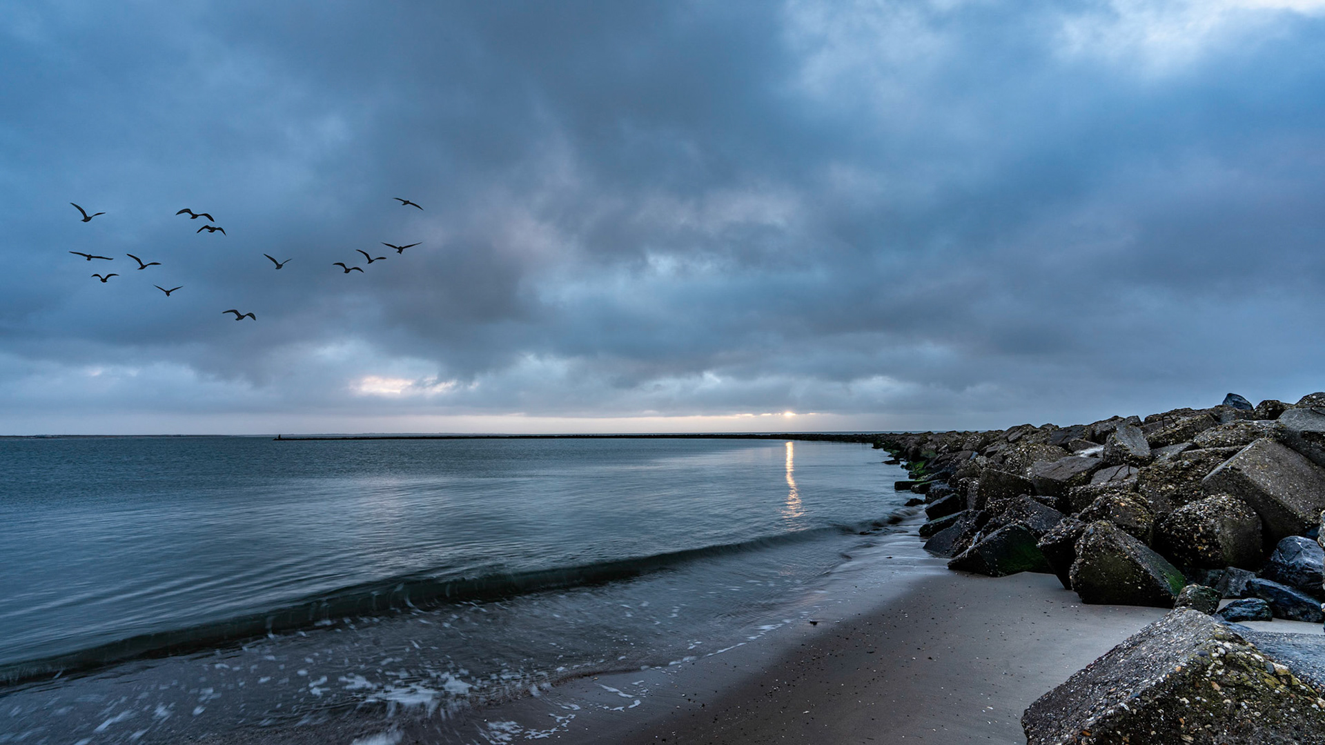 North Sea - The Netherlands