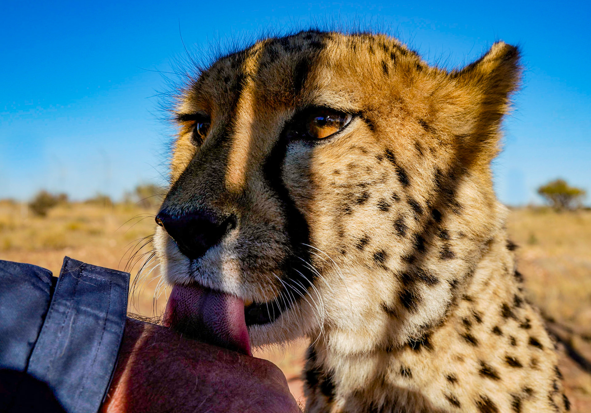 Friends - Namibië